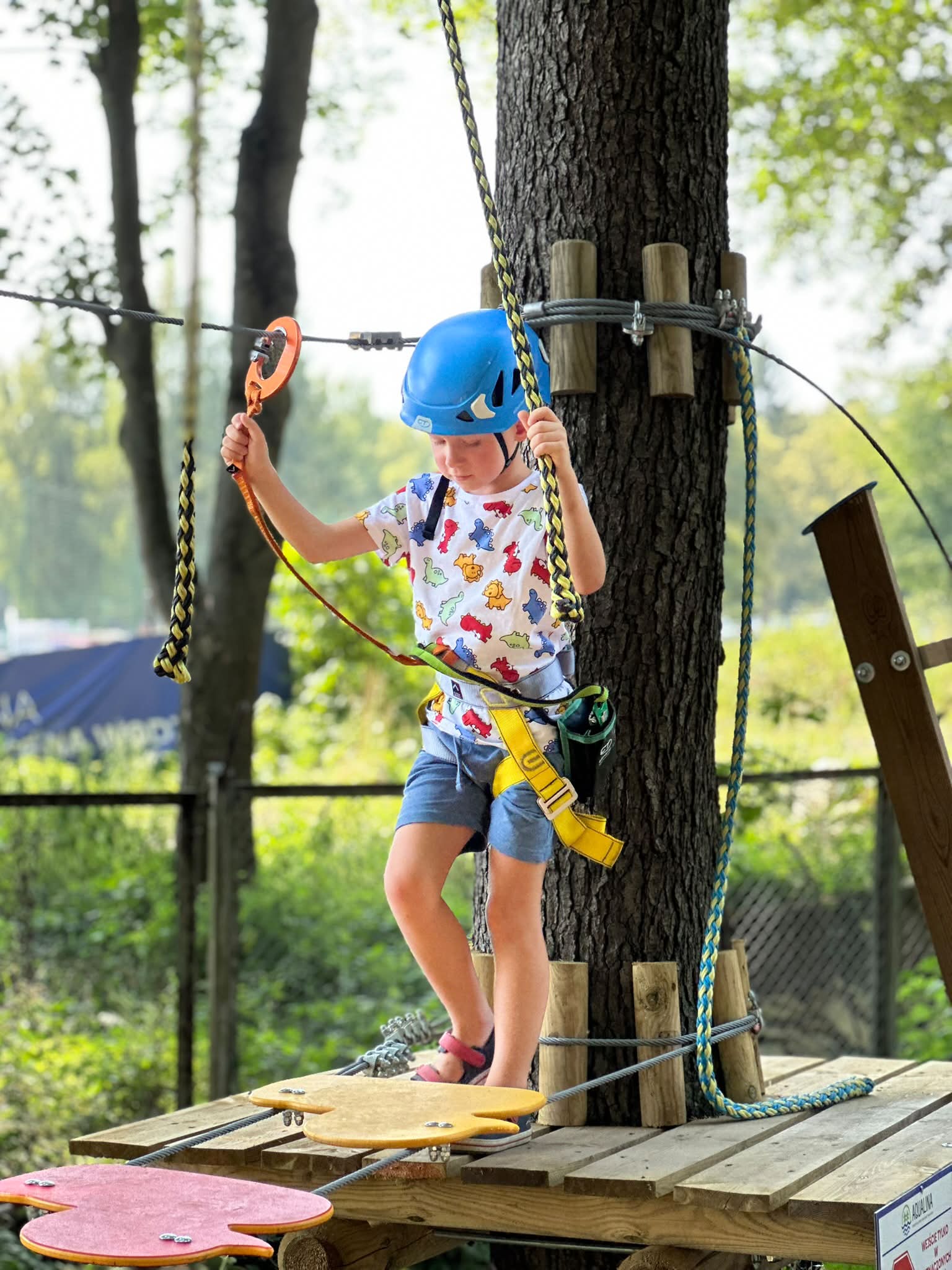 Aqualina - Rodzinny Park Rozrywki w Polanicy-Zdroju Facebook ad: Park Linowy Aqualina czeka na Ciebie!