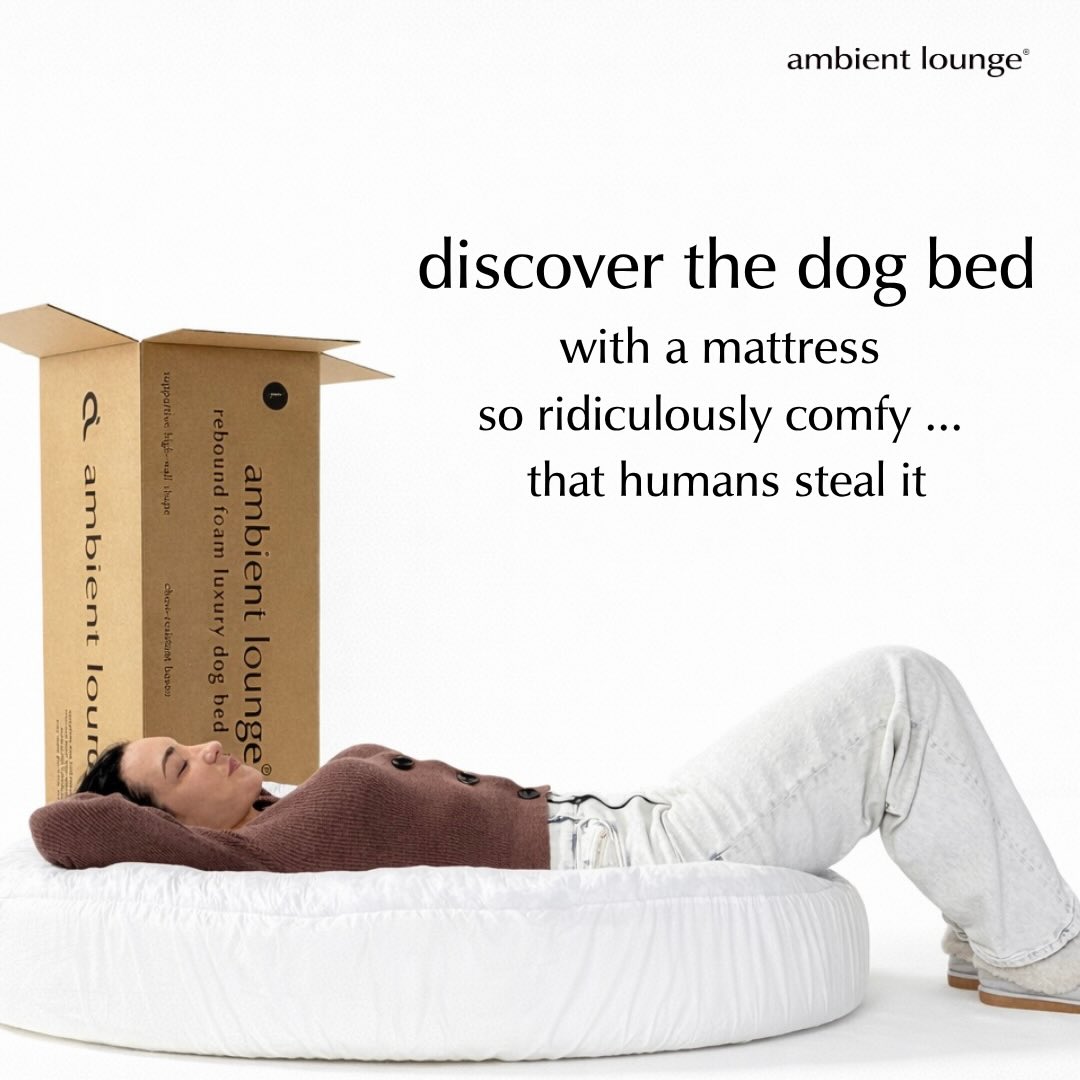 Ambient Lounge Facebook ad