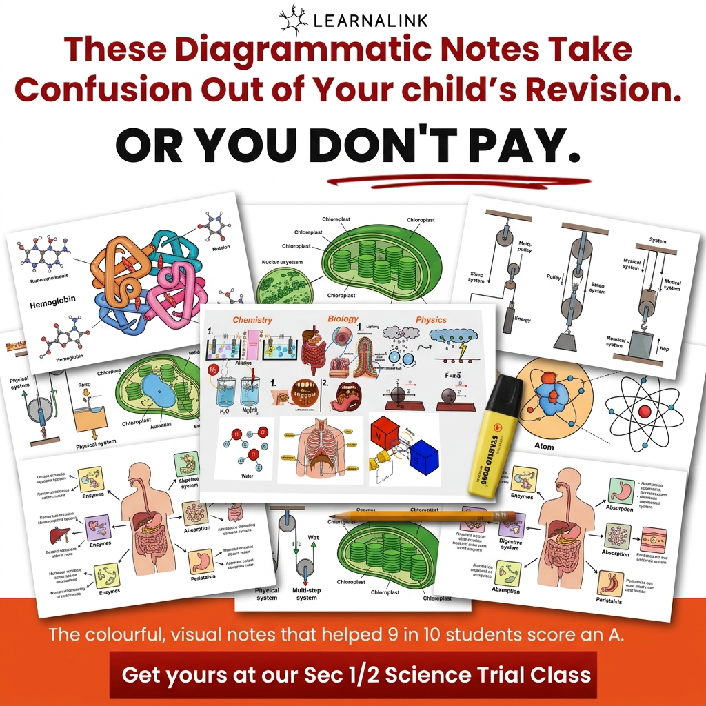 learnalink Facebook ad: How to Qualify for Pure Science?