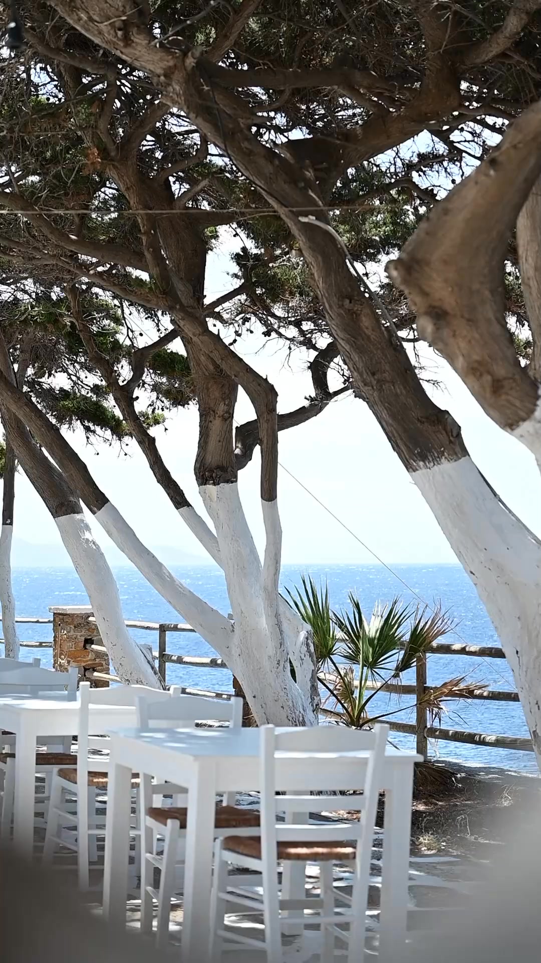 Η Θερμιώτισσα Facebook ad: Thermiotissa Restaurant in Kythnos