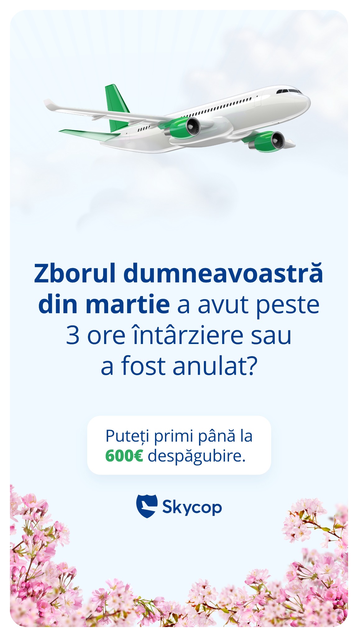 Skycop Facebook ad