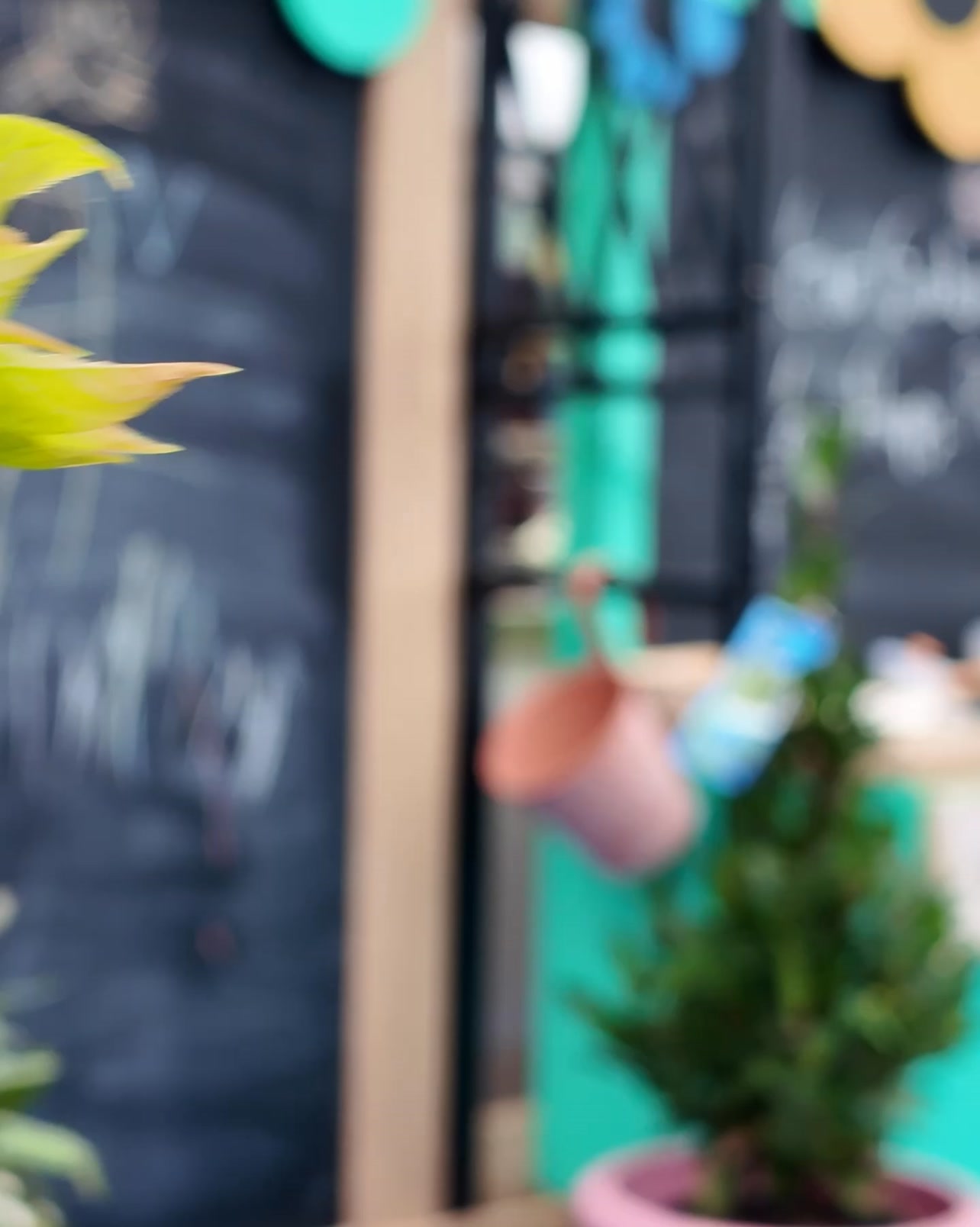 Perrywood Garden Centres Facebook ad from Jun 5, 2026