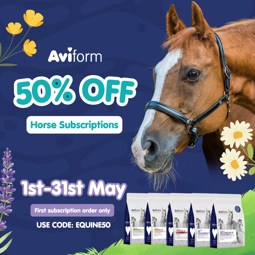 Aviform Nutrition UK - Horse & Dog Facebook ad
