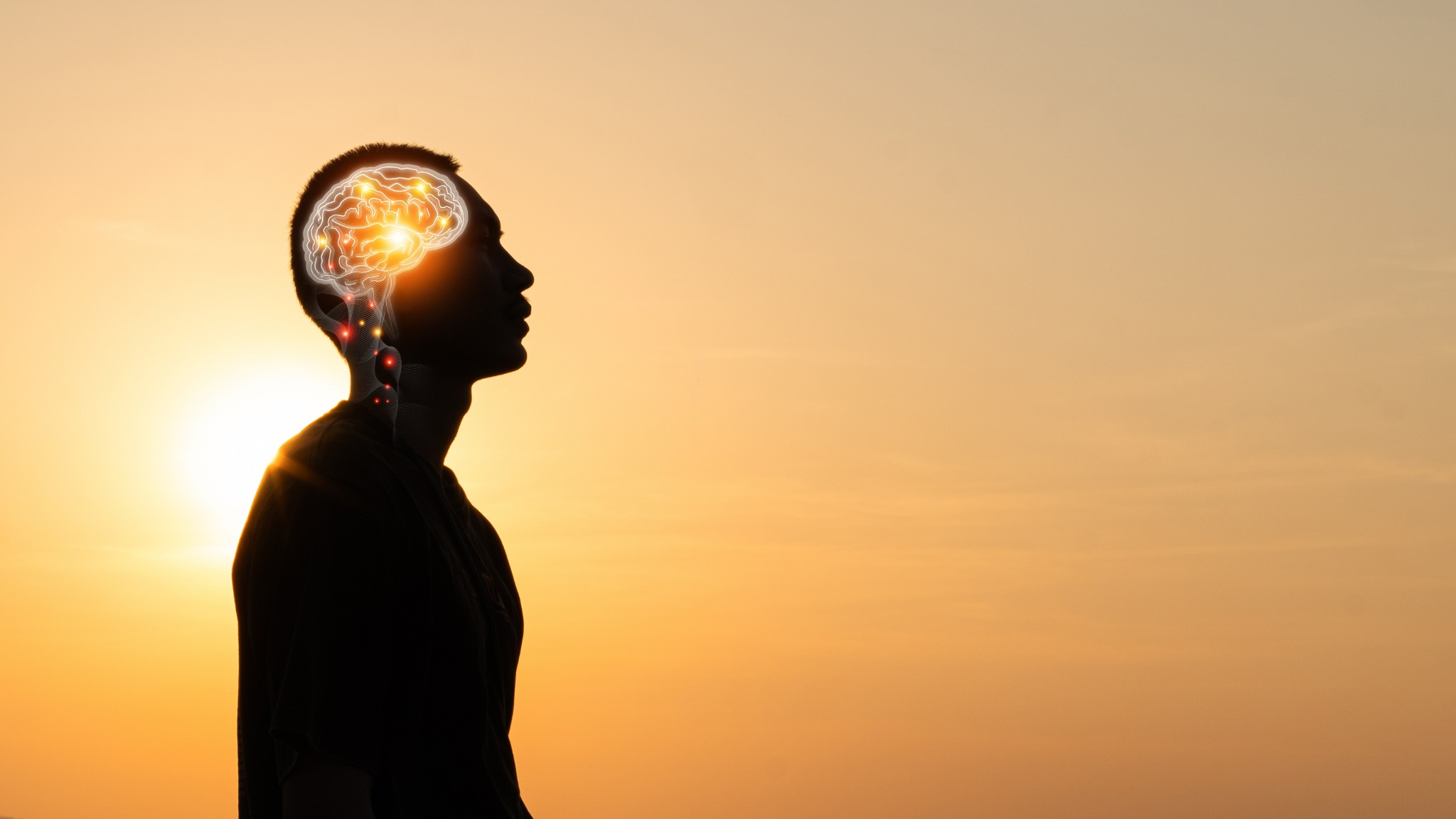 Nature Partnerships Facebook ad: Brain science needs a new social contract