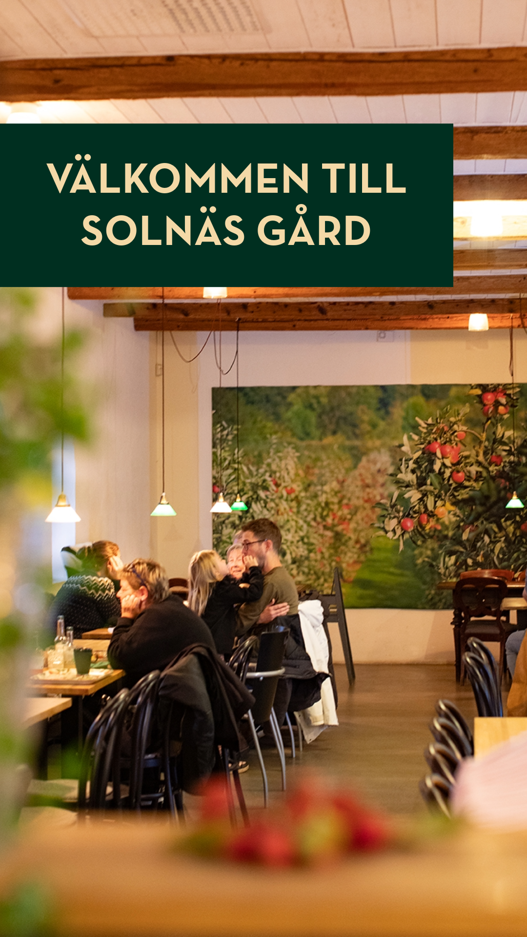 Solnäs Gård Facebook ad: Älskar du svenska äpplen?