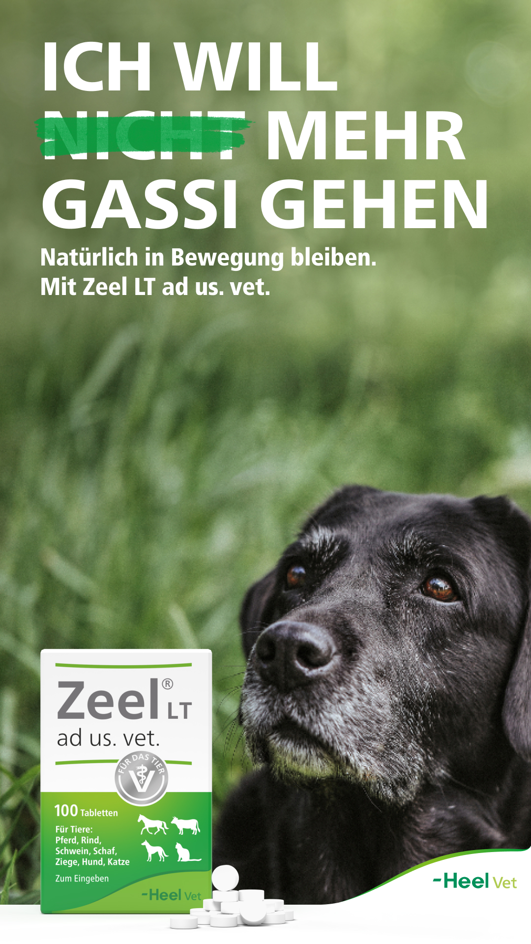 Heel Vet Facebook ad from Jan 5, 2026