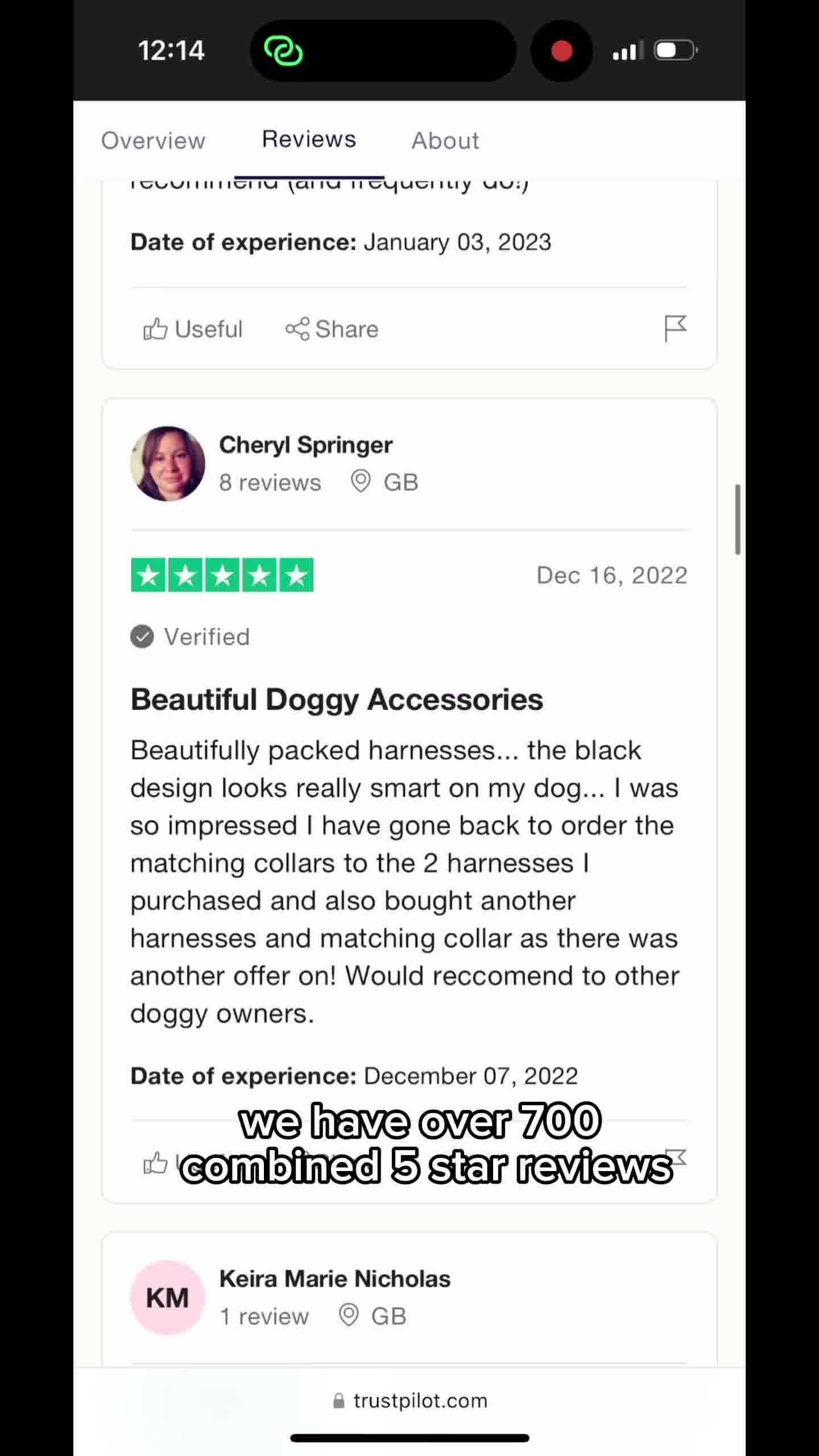 Paw Couture Facebook ad: Luxury Dog Accessories at Affordable Prices