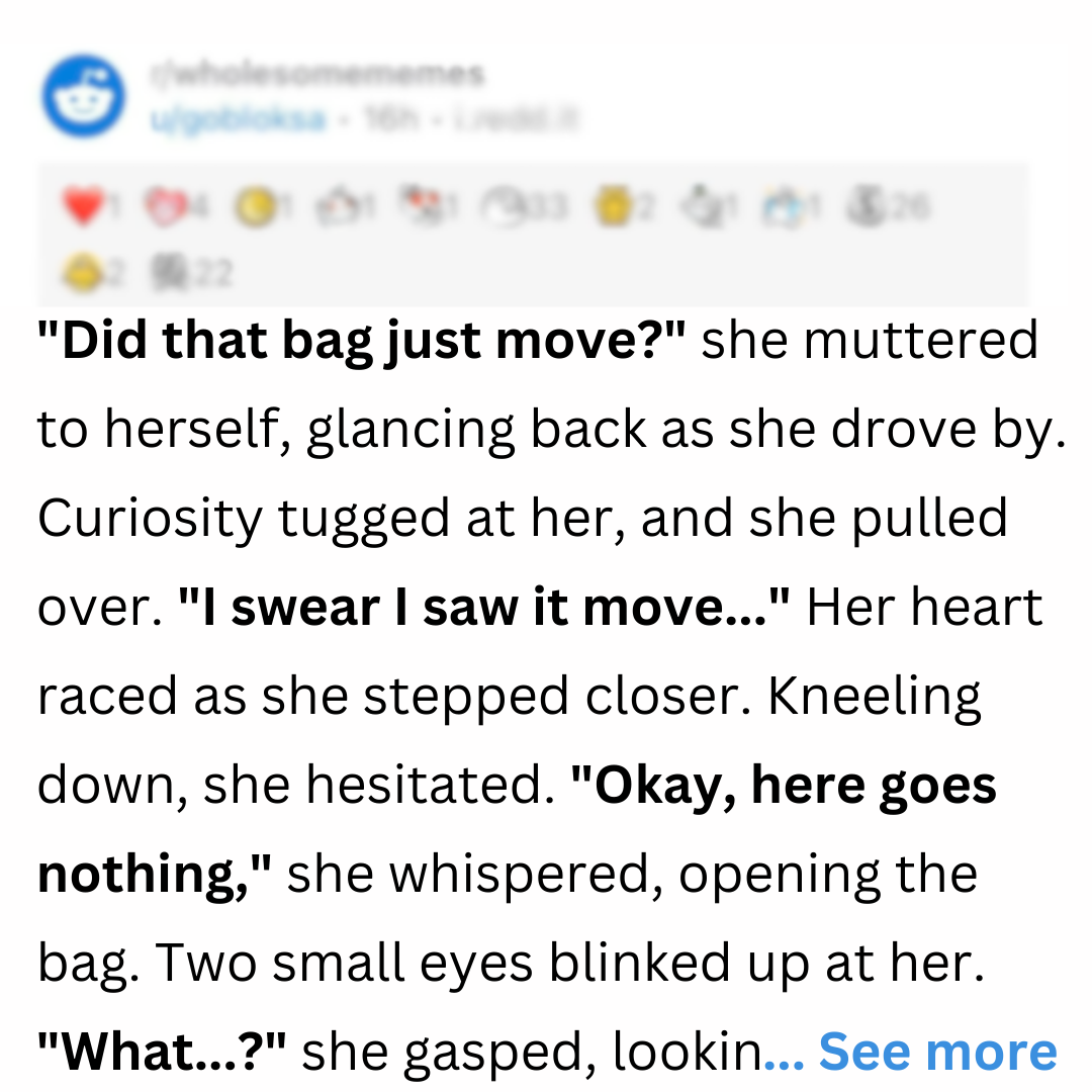 Petty Poets Facebook ad: Woman Stops After Spotting A Moving Plastic Bag On The…