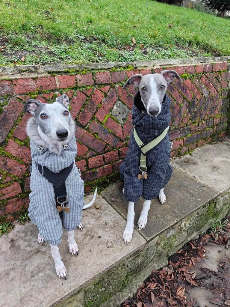 Pawelier Facebook ad: Performance Meets Style