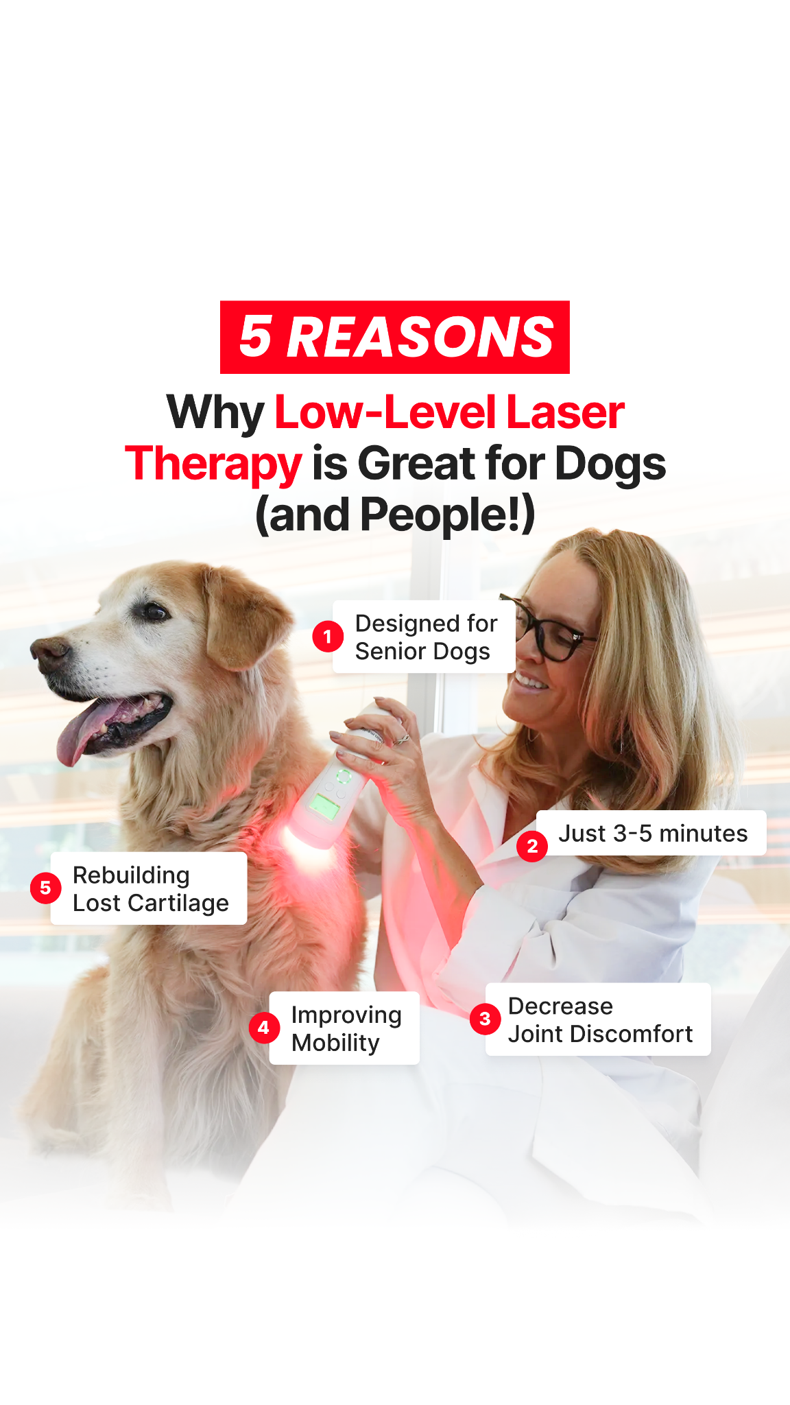 Helio Pet Facebook ad