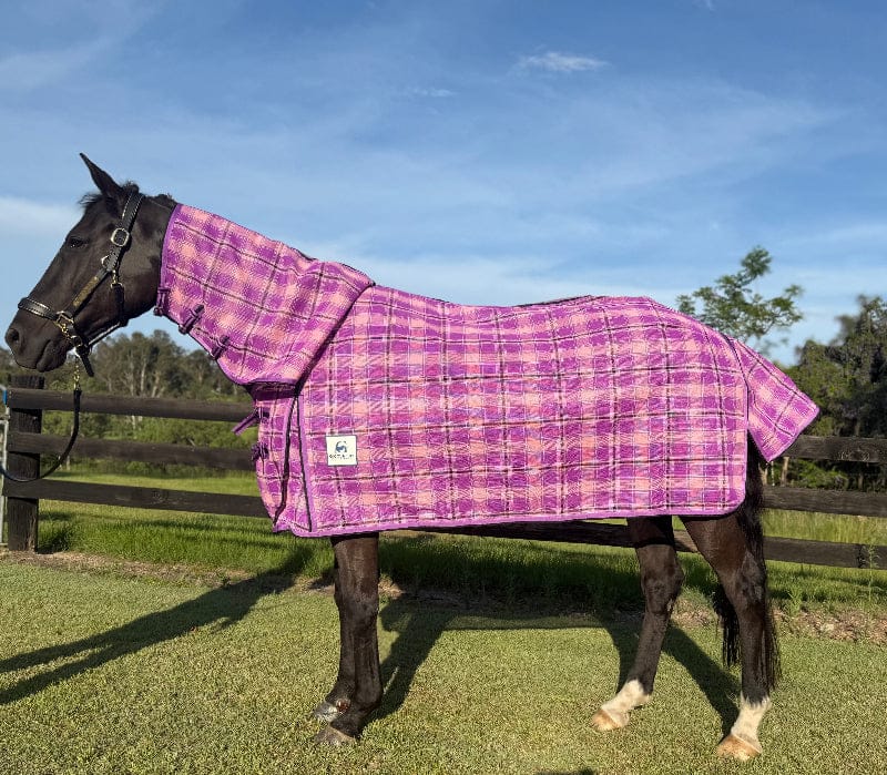 Gympie Saddleworld & Country Facebook ad