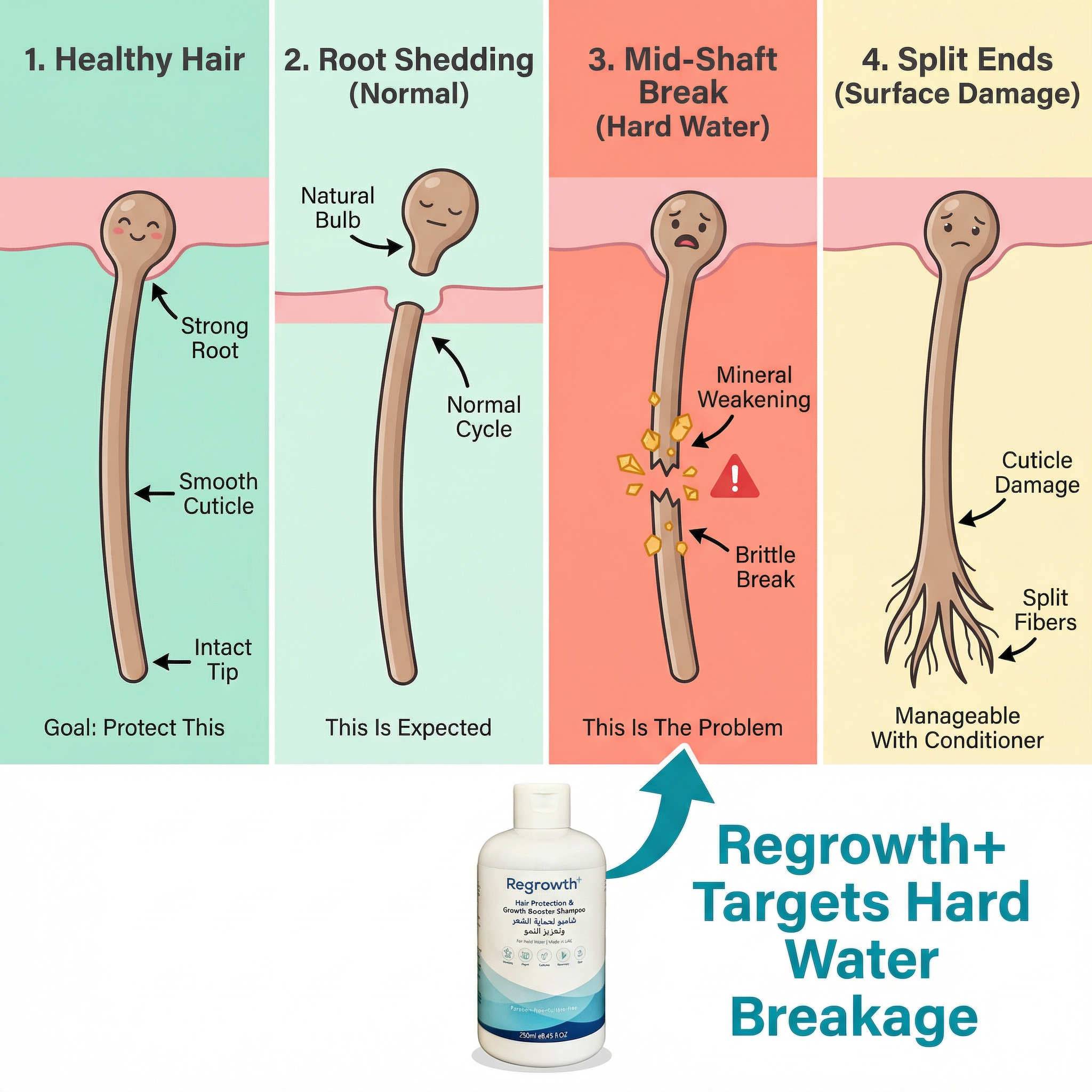 Regrowth+ Facebook ad