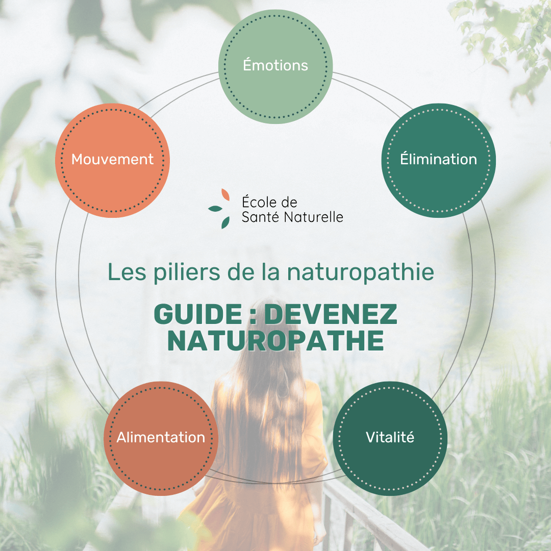 École de Santé Naturelle Facebook ad