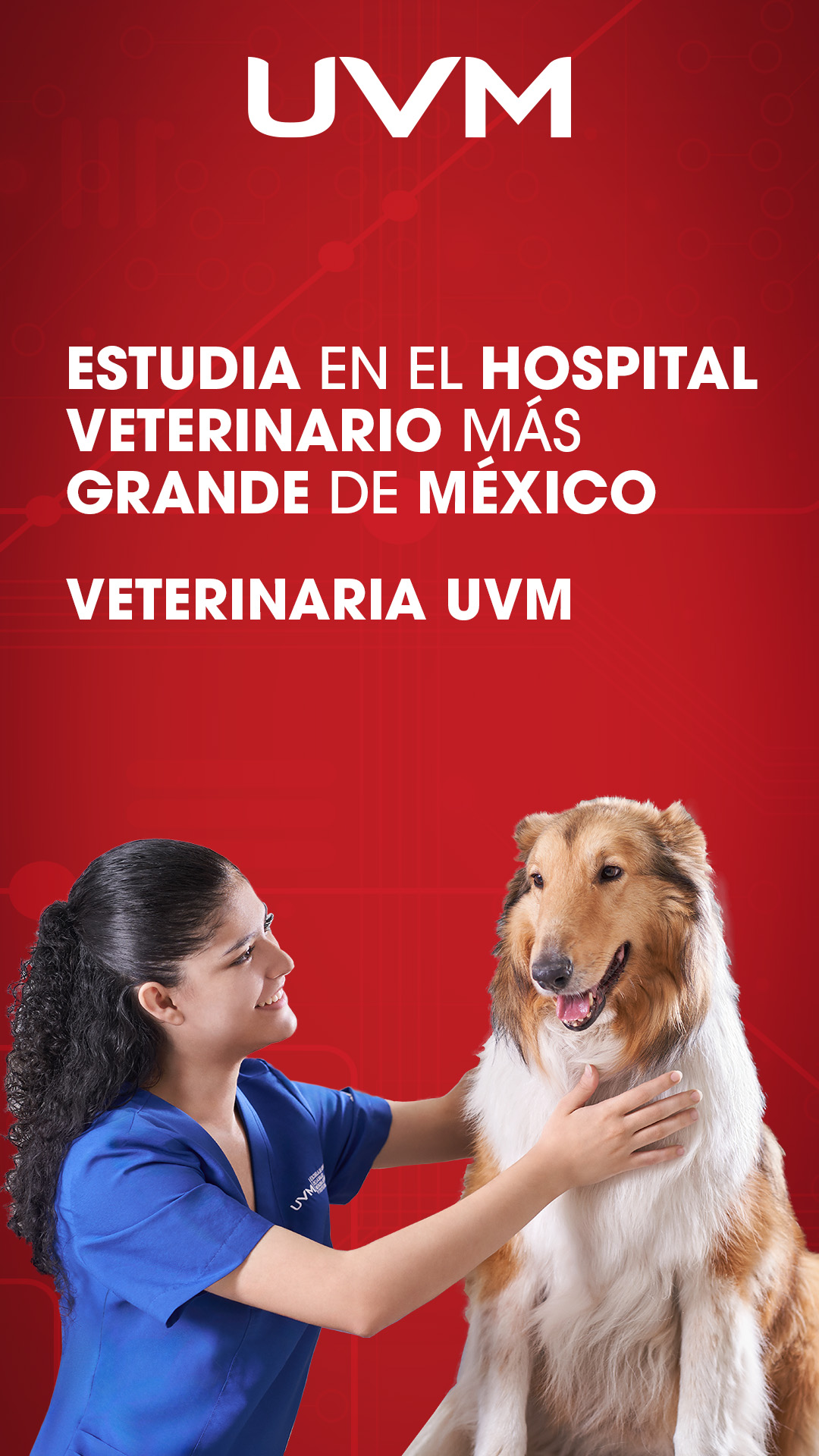 UVM Facebook ad