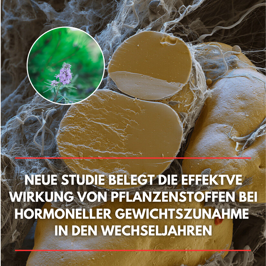 Gesundheitspiegel Facebook ad: Der größte Fehler bei Hormon-Bauchfett