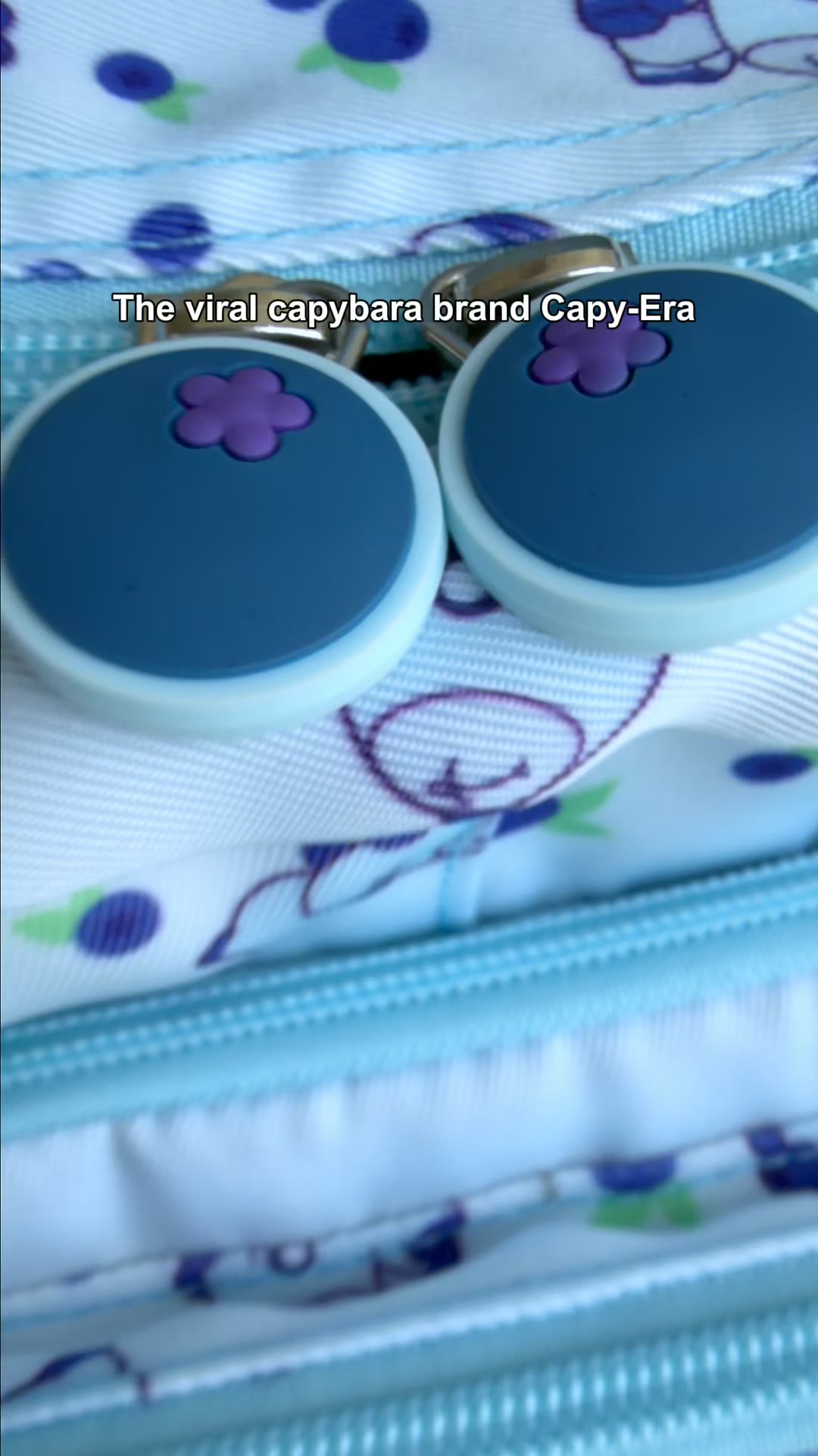 CAPY ERA Facebook ad: FREE Bag Charm