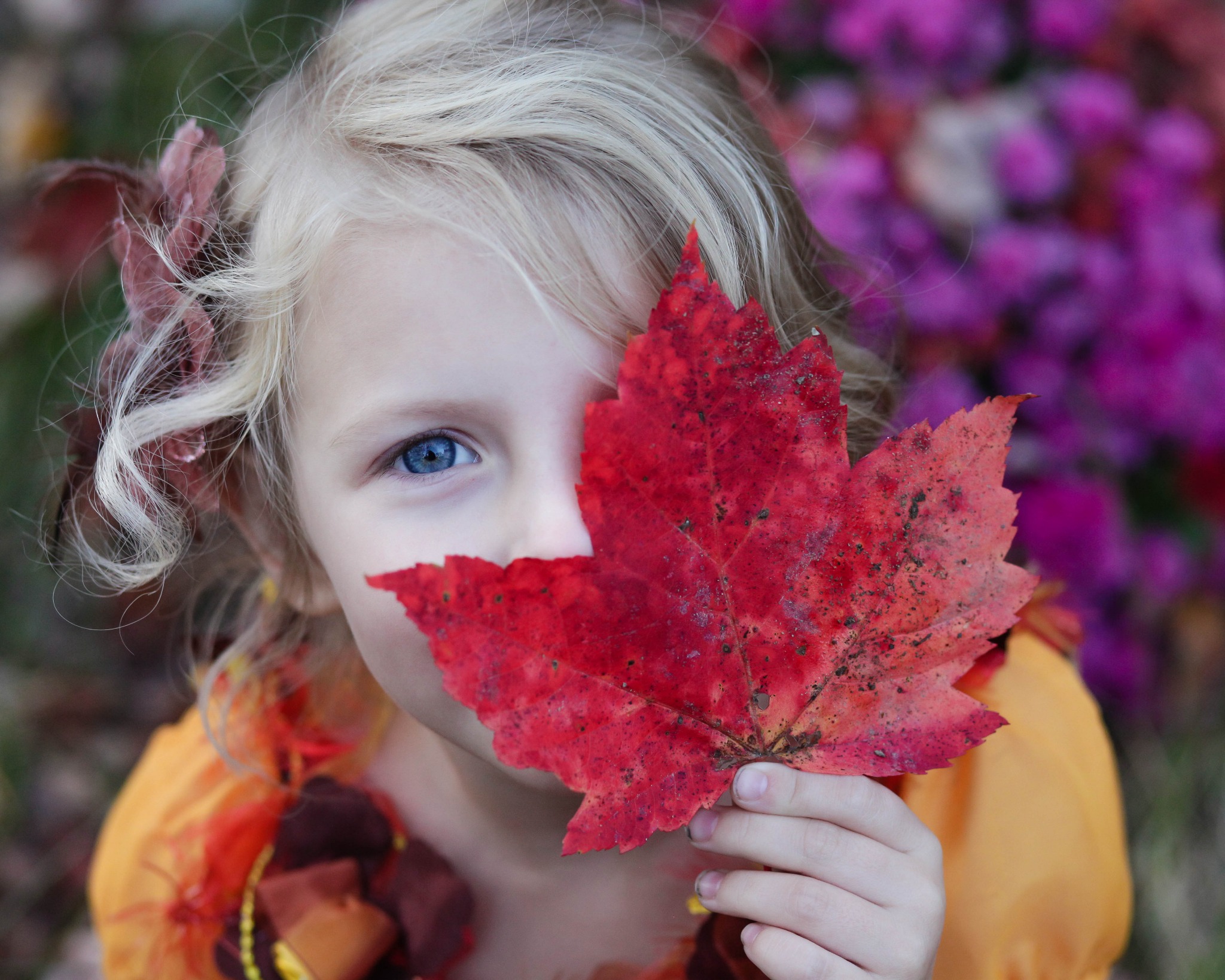 Canada Benefit Group Facebook ad: Qualify for the Disability Tax Credit
