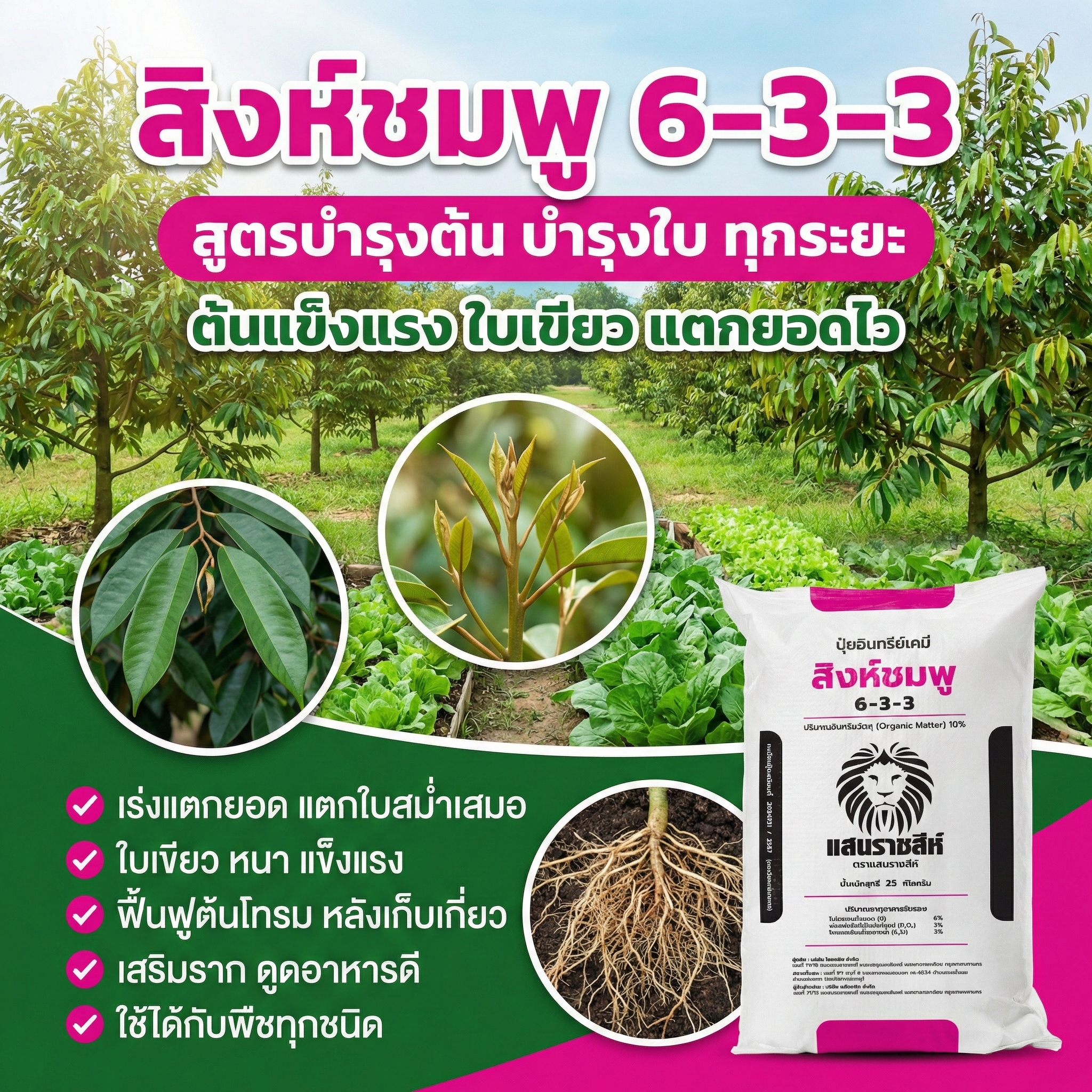 ปุ๋ยแสนราชสีห์ Facebook ad