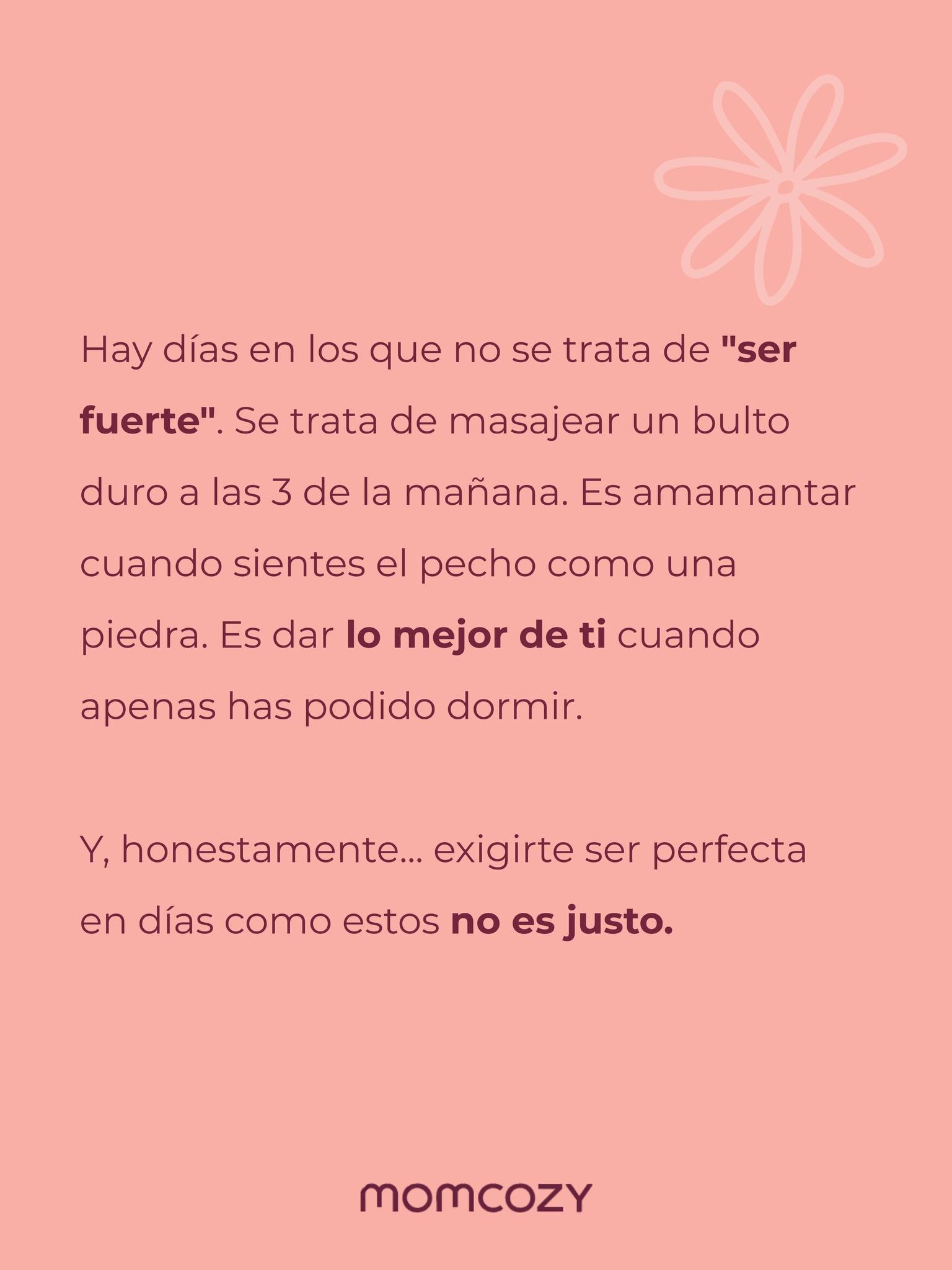 Momcozype Facebook ad: Hay días en los que la maternidad no…
