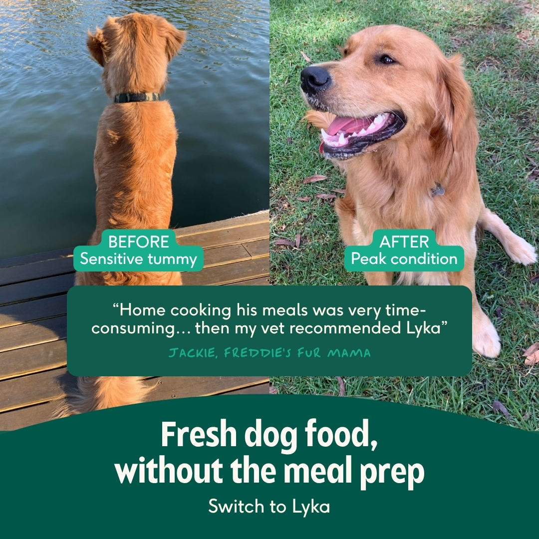 Lyka Pet Food Facebook ad