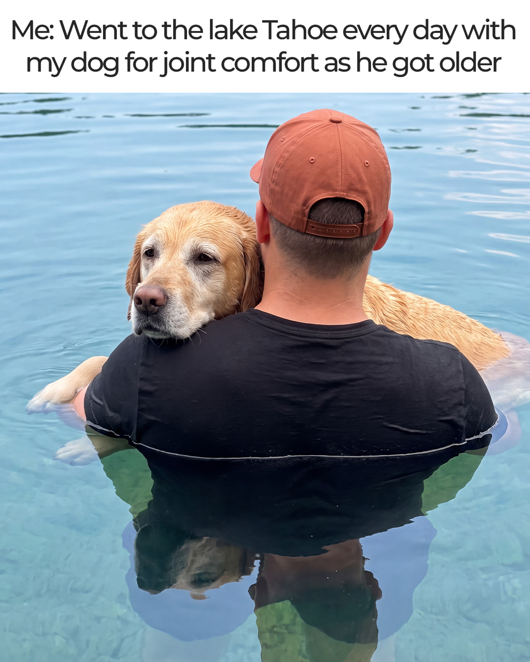 Dog Arthritis Support Community Facebook ad: For Those Told Slowing Down Is Just Normal With Age