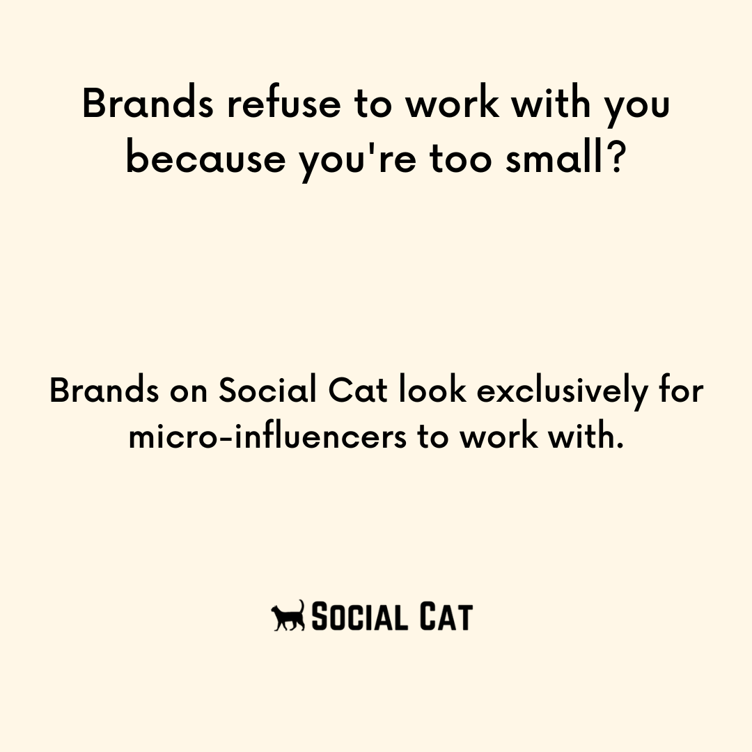 Social Cat Facebook ad
