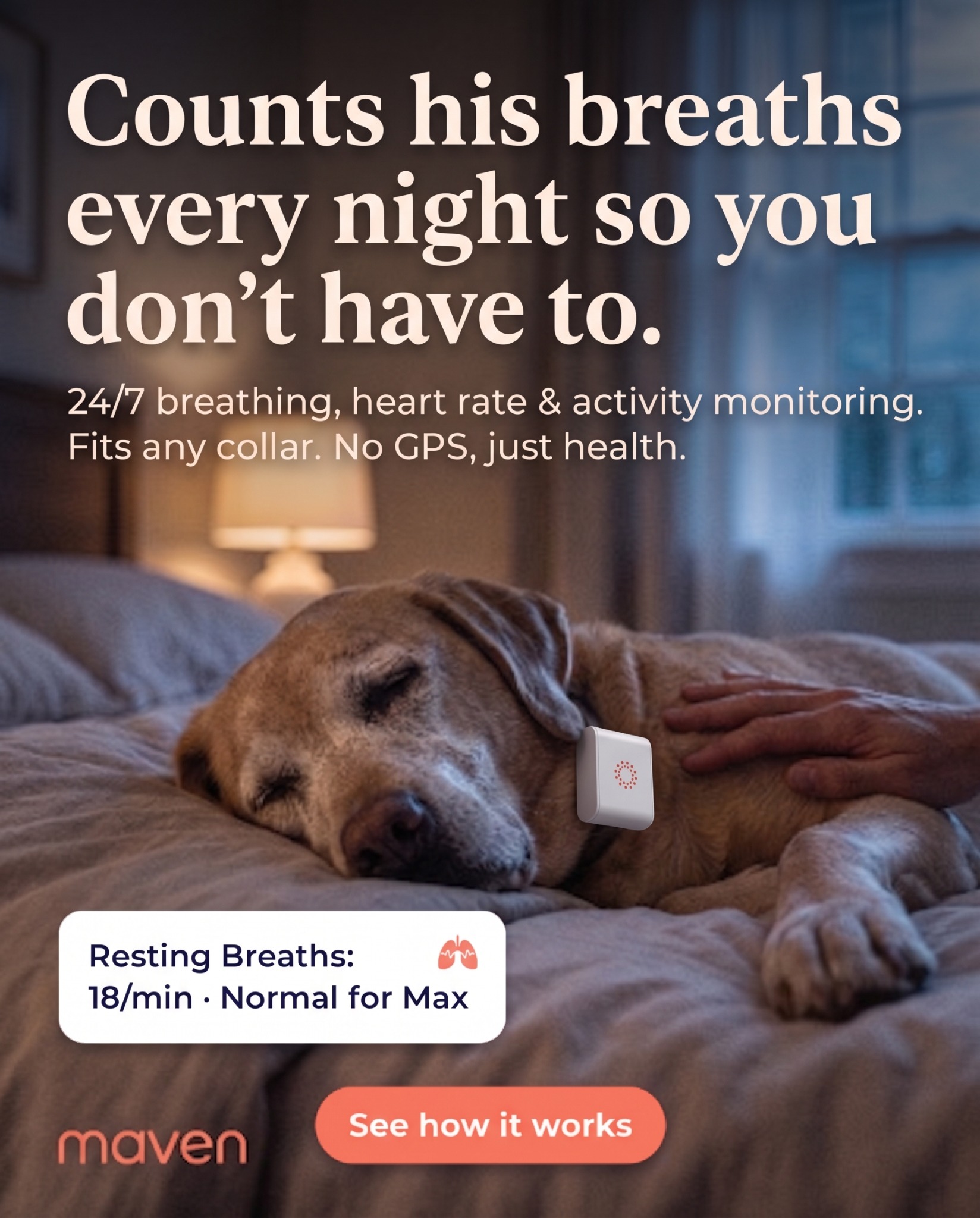 Maven Pet Facebook ad