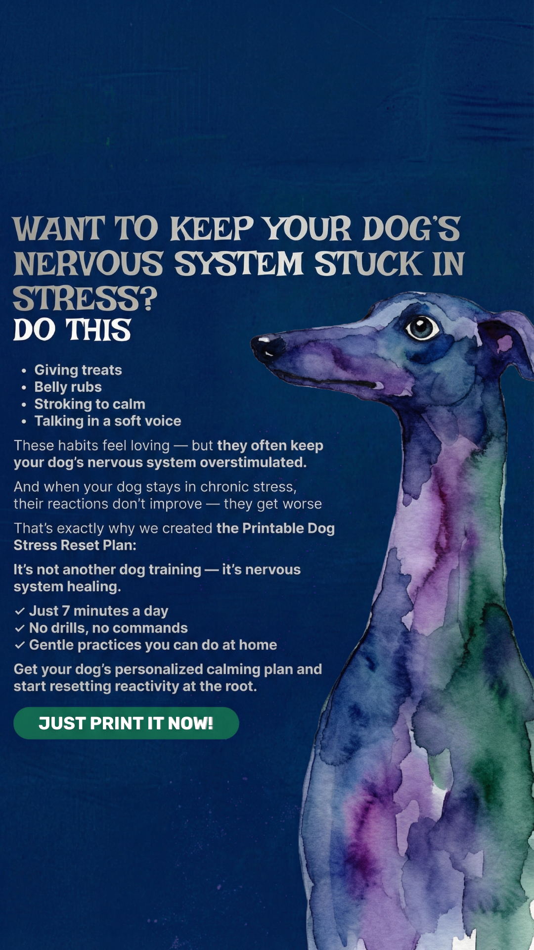 Dog Lovers Community Facebook ad: Start Dog Stress Reset Plan