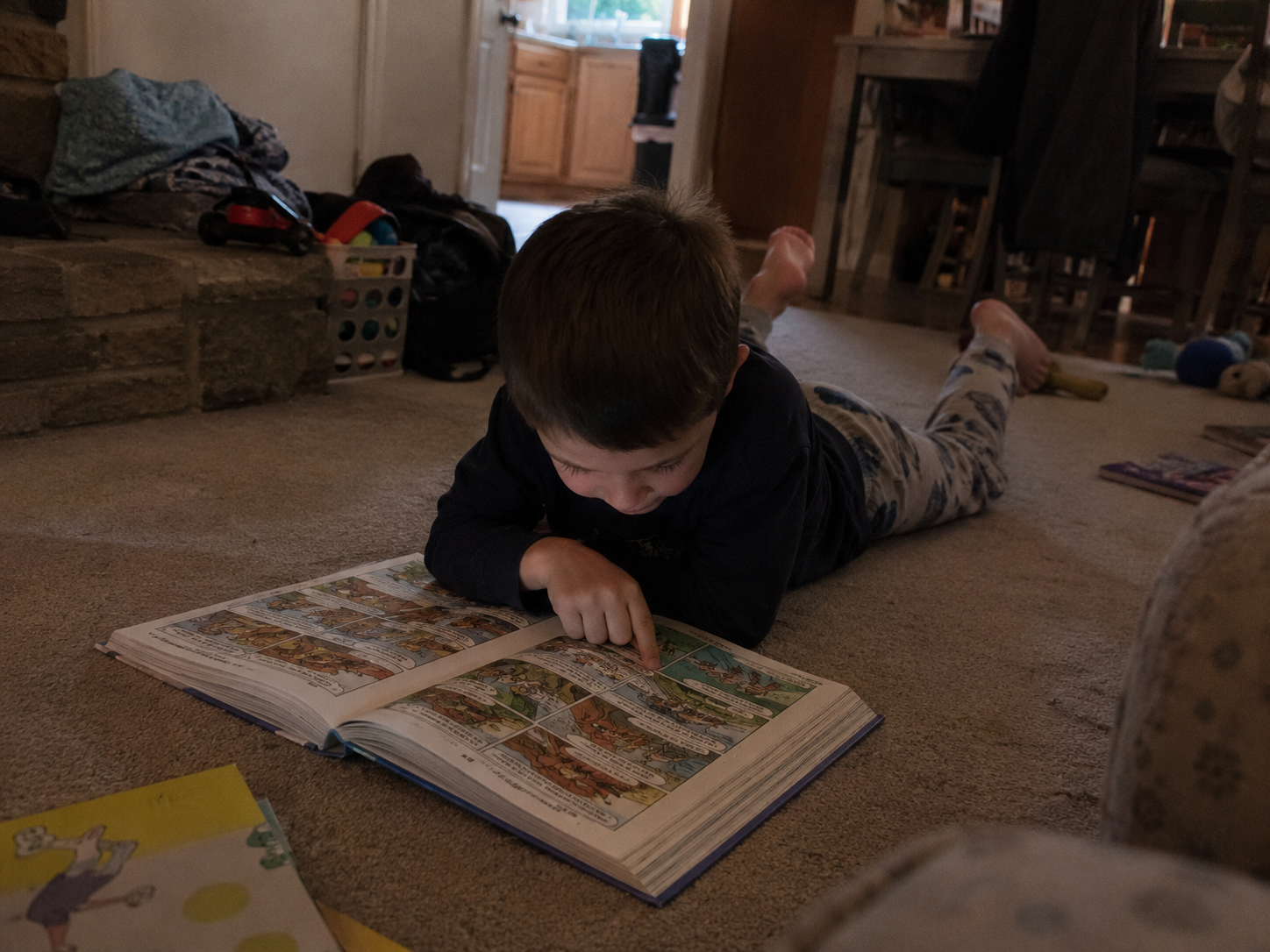 Emily Miller Facebook ad: The book I recommend to every parent