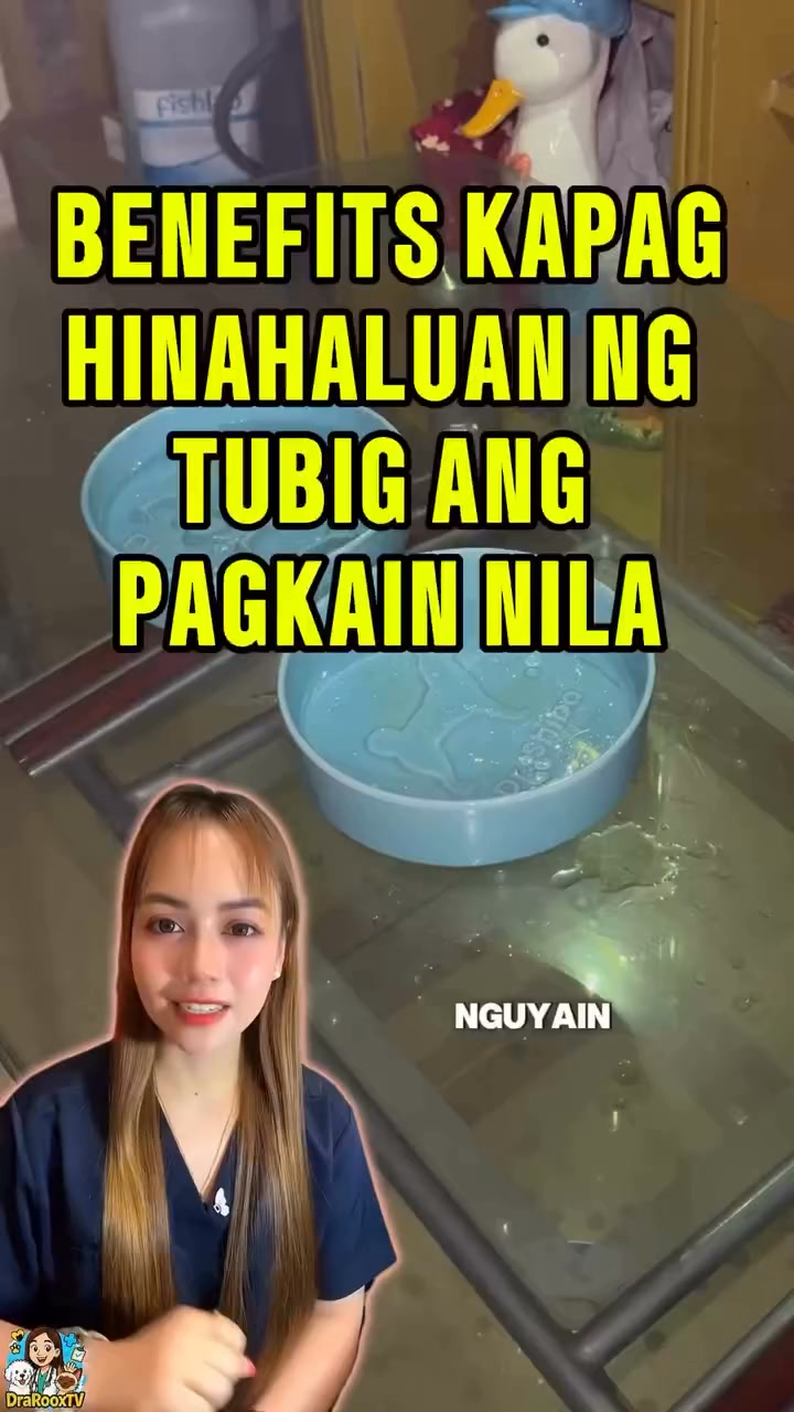 Dr Shiba Facebook ad: Pwede bang haluan ng tubig ang pagkain nila?