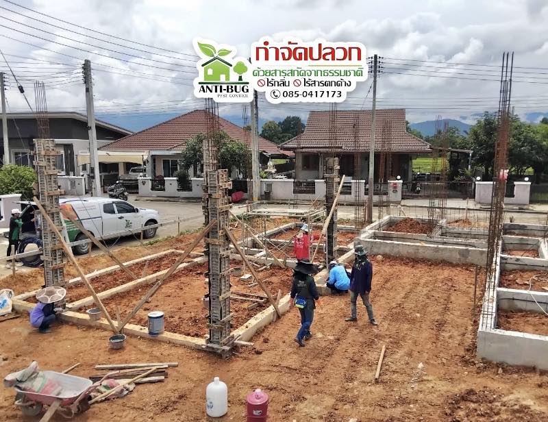 กำจัดปลวกเชียงราย By Anti-Bug Pest Control Facebook ad