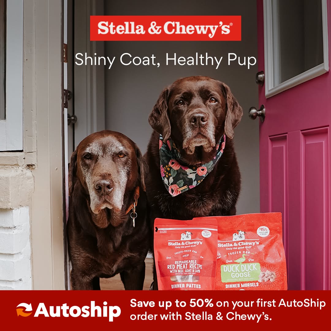 Chewy Facebook ad
