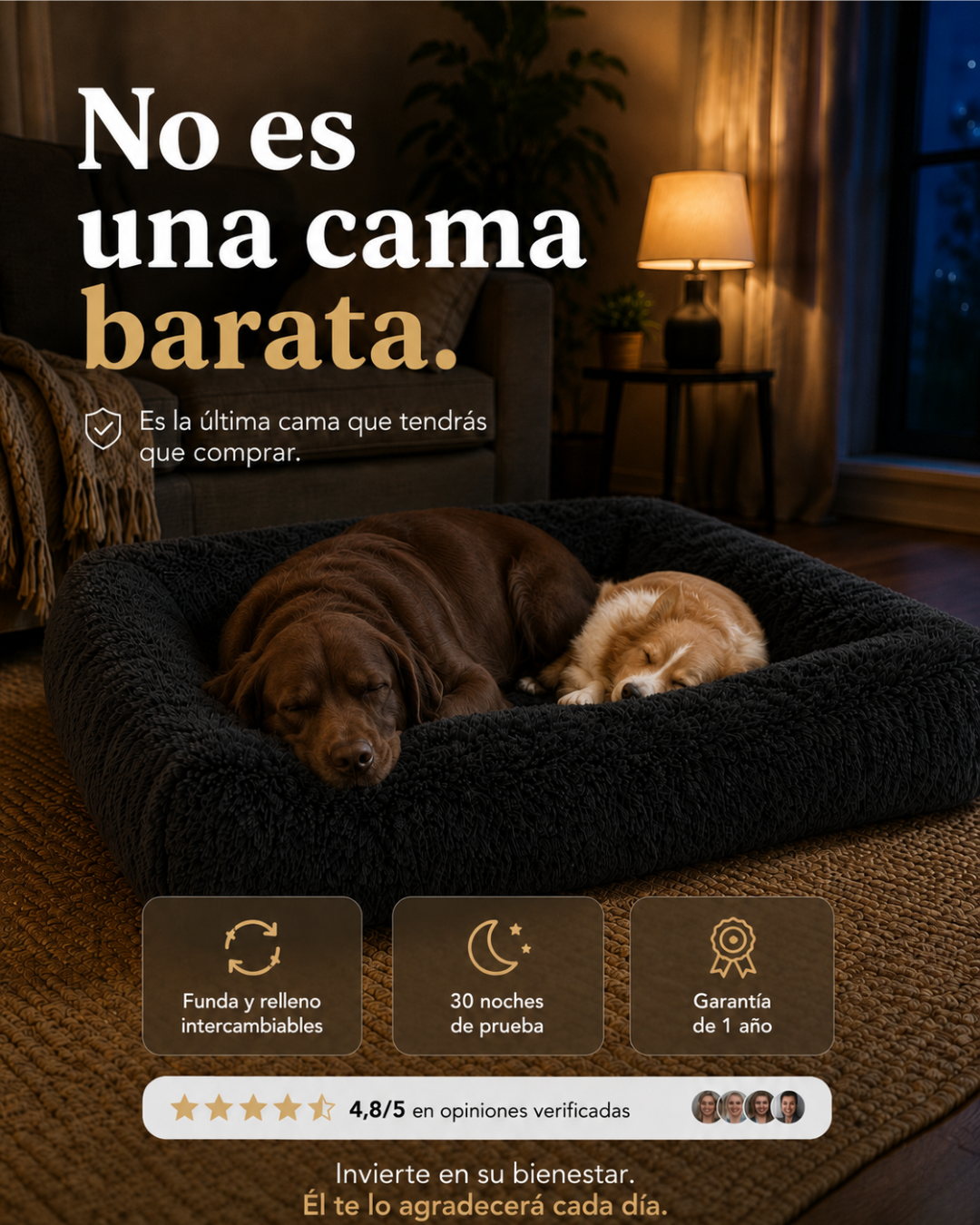Mascotikos-Colombia Facebook ad: REGALO INCLUIDO