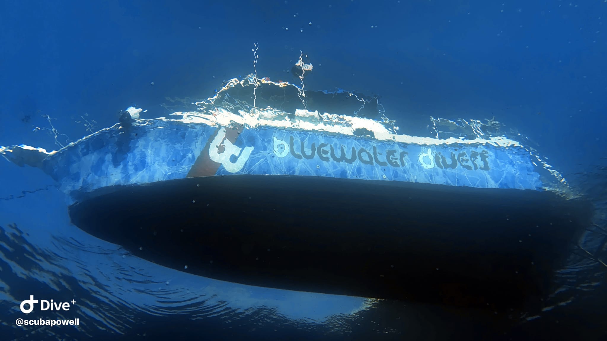 BlueWater Divers Facebook ad: Beauty Discovered. We specialize in boat trips of…