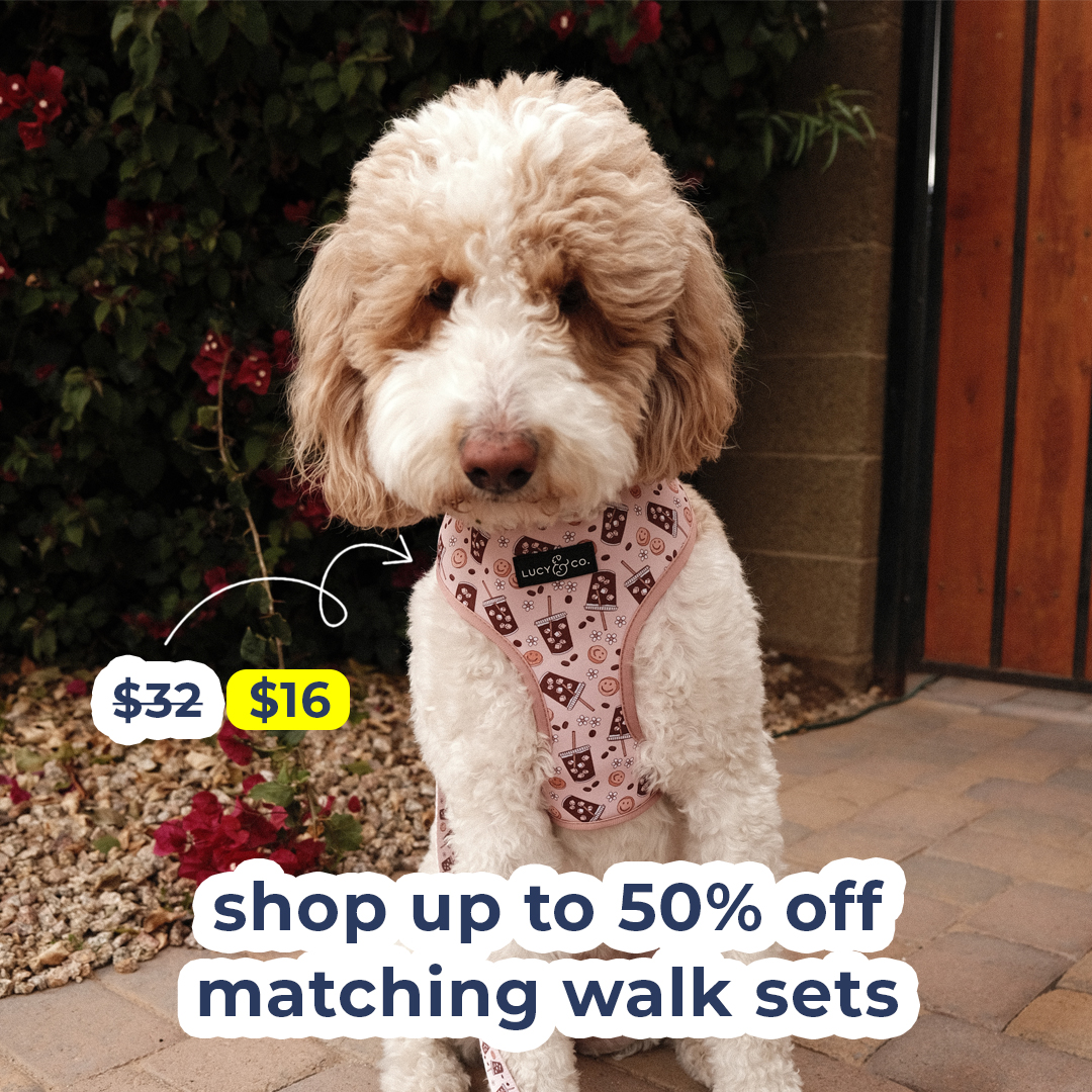 Lucy & Co. Facebook ad