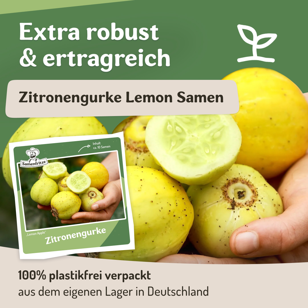 Samenfritze Facebook ad
