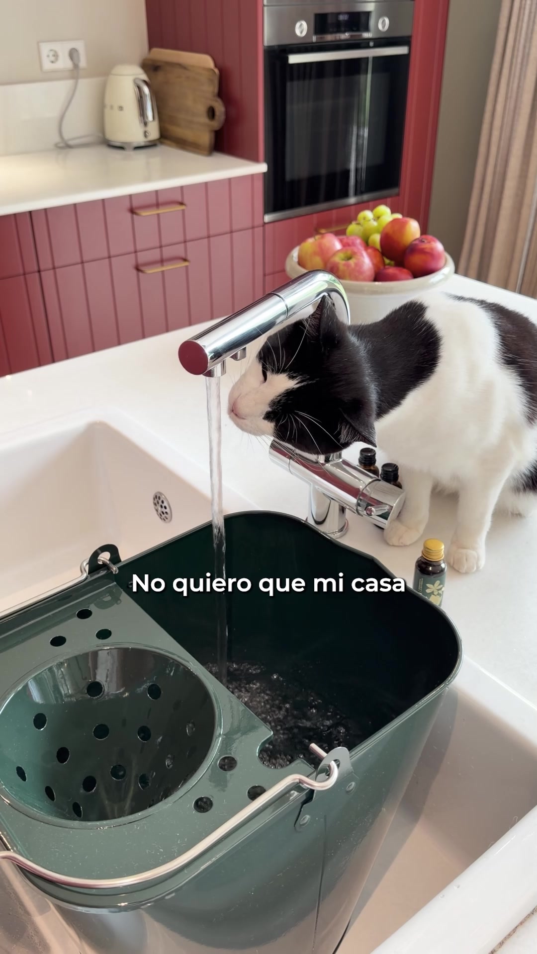 Zabon Facebook ad: VUELVEN A AGOTARSE