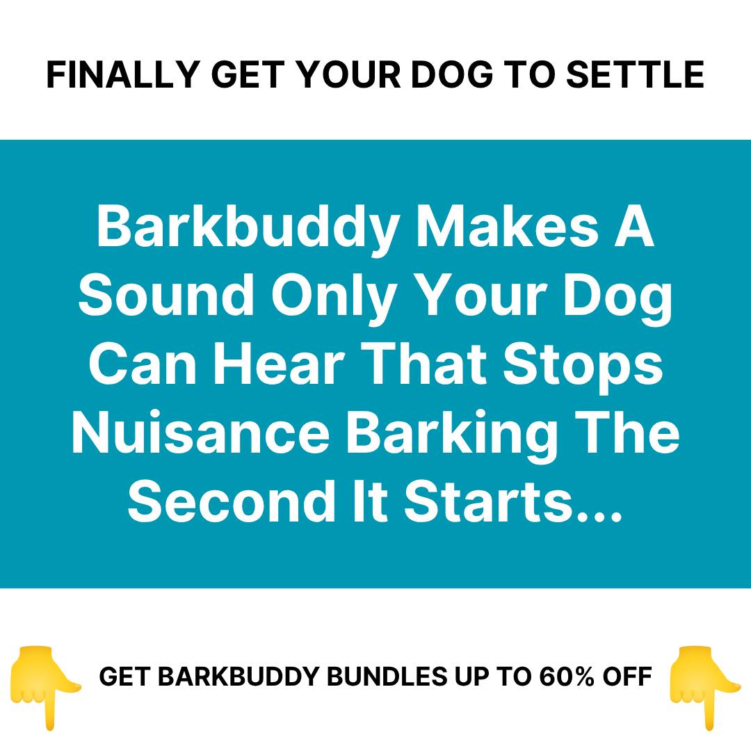 Canine Corner Australia Facebook ad