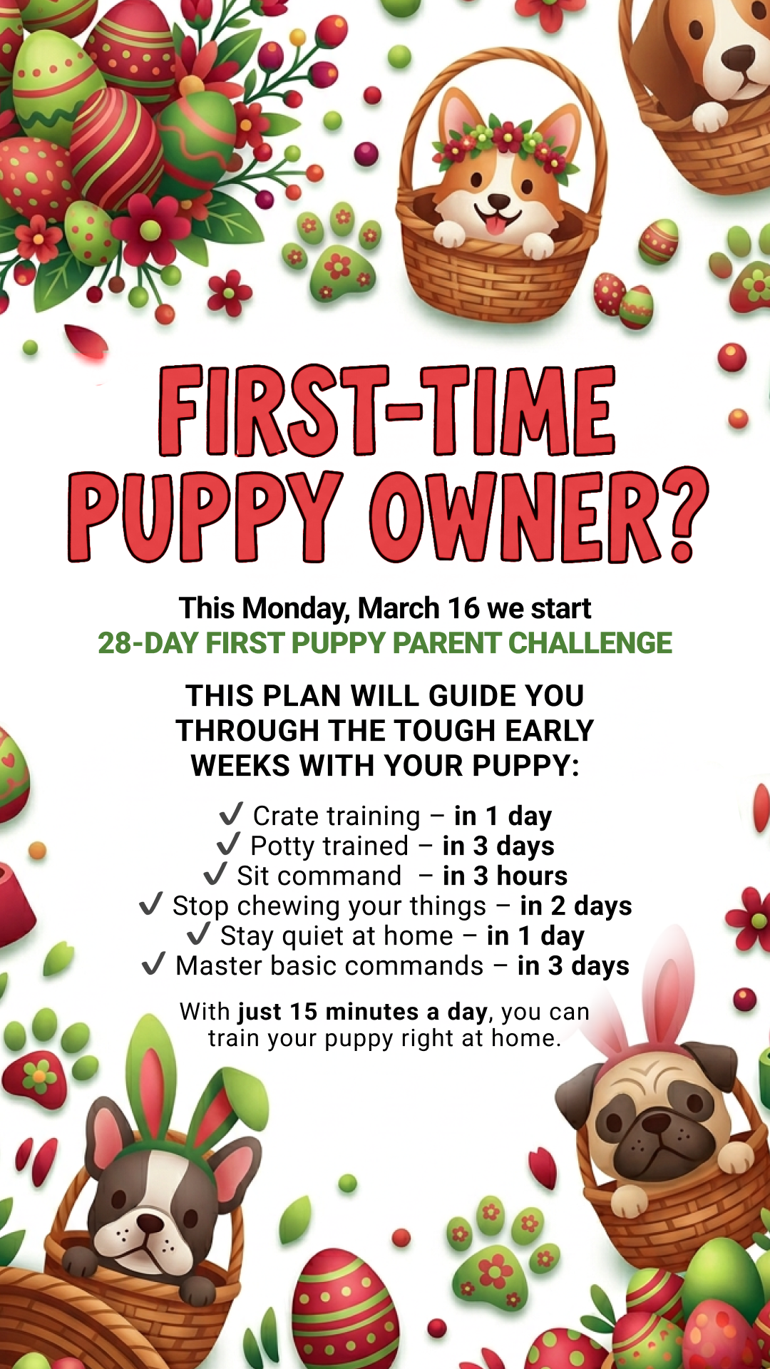Woofz - Puppy Training Facebook ad