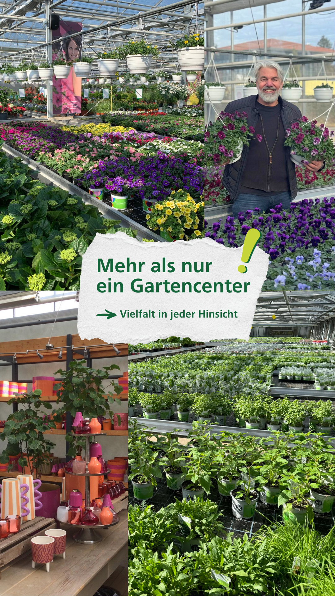 Gartencenter Knauß Facebook ad: Wer denkt, dass Knauß nur ein Gartencenter ist…