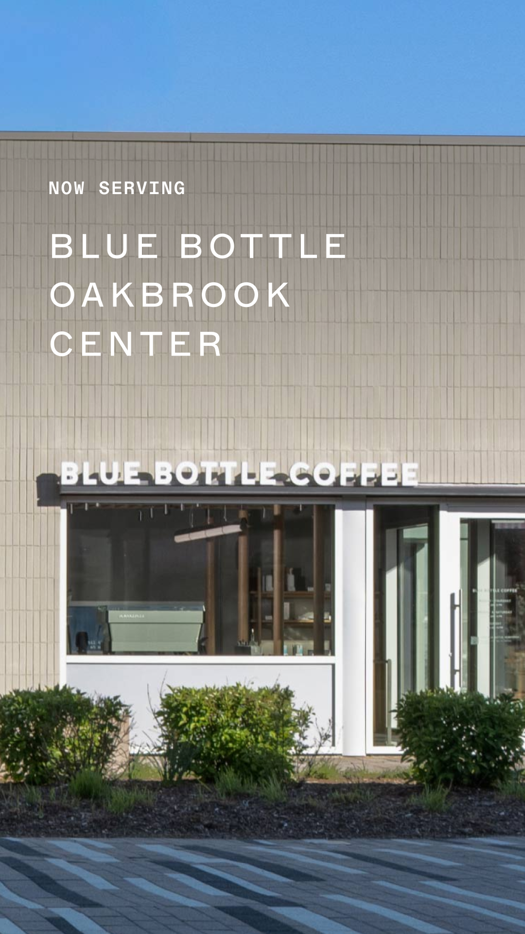 Blue Bottle Coffee Facebook ad