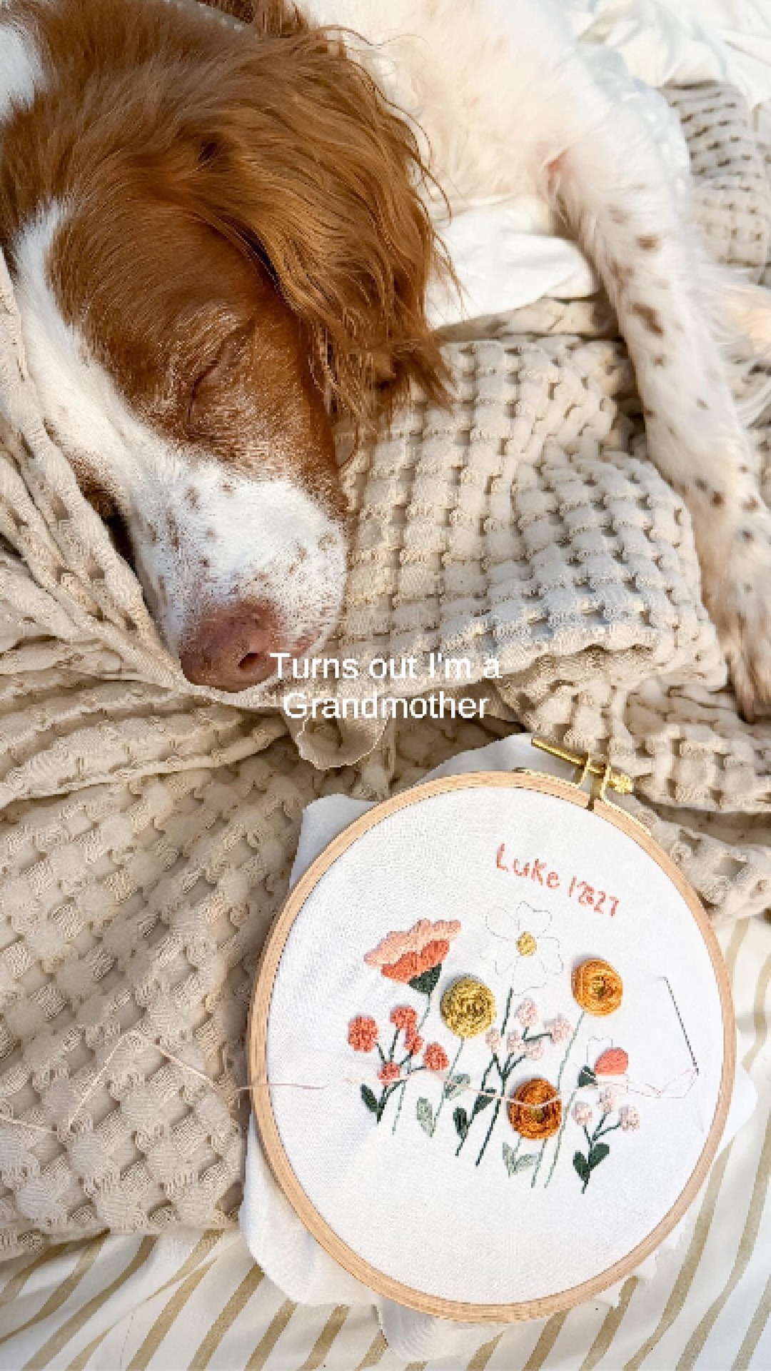 Clever Poppy Facebook ad: I’ve officially entered my grandmother era… and I’m…