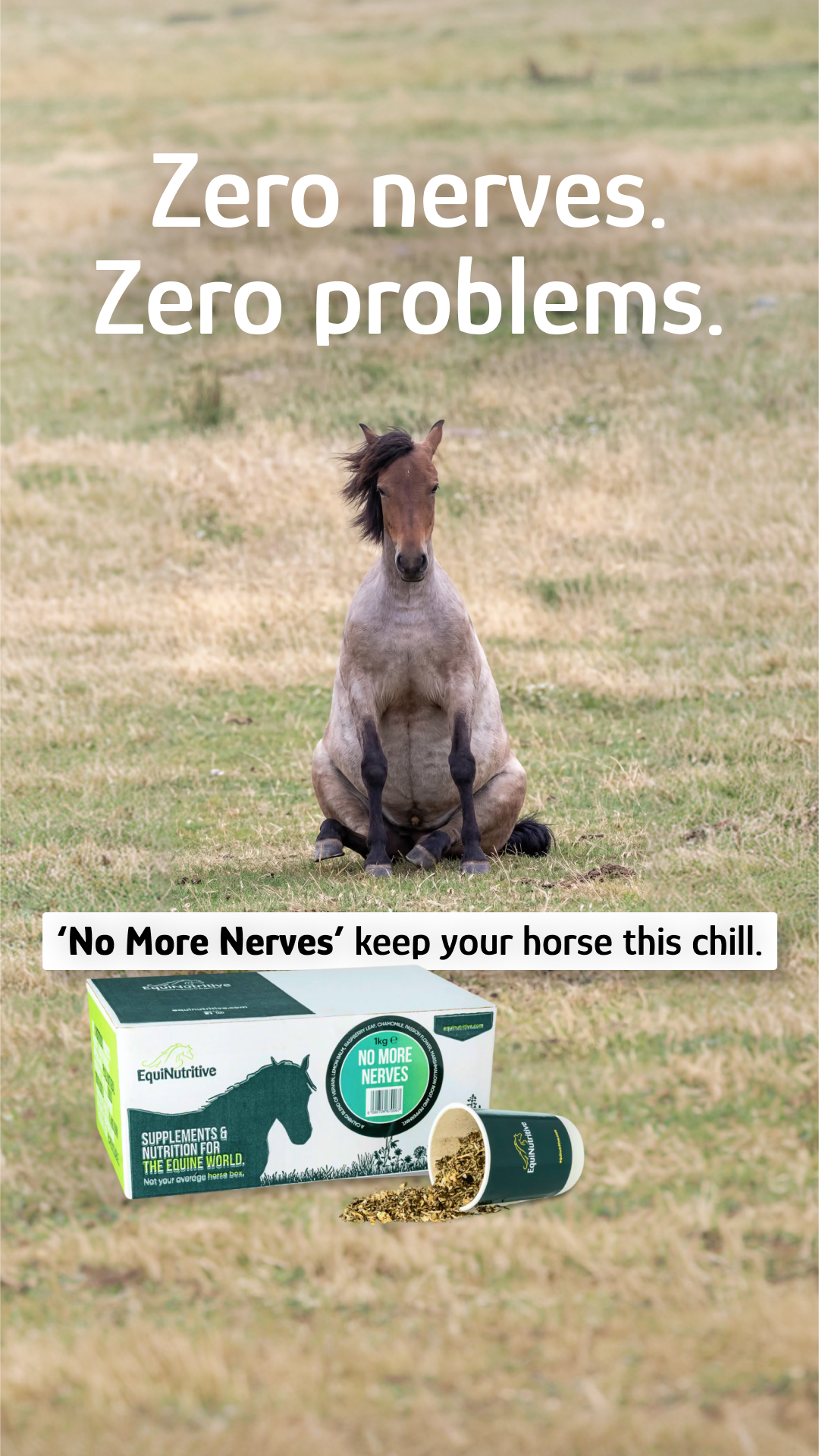 EquiNutritive Facebook ad