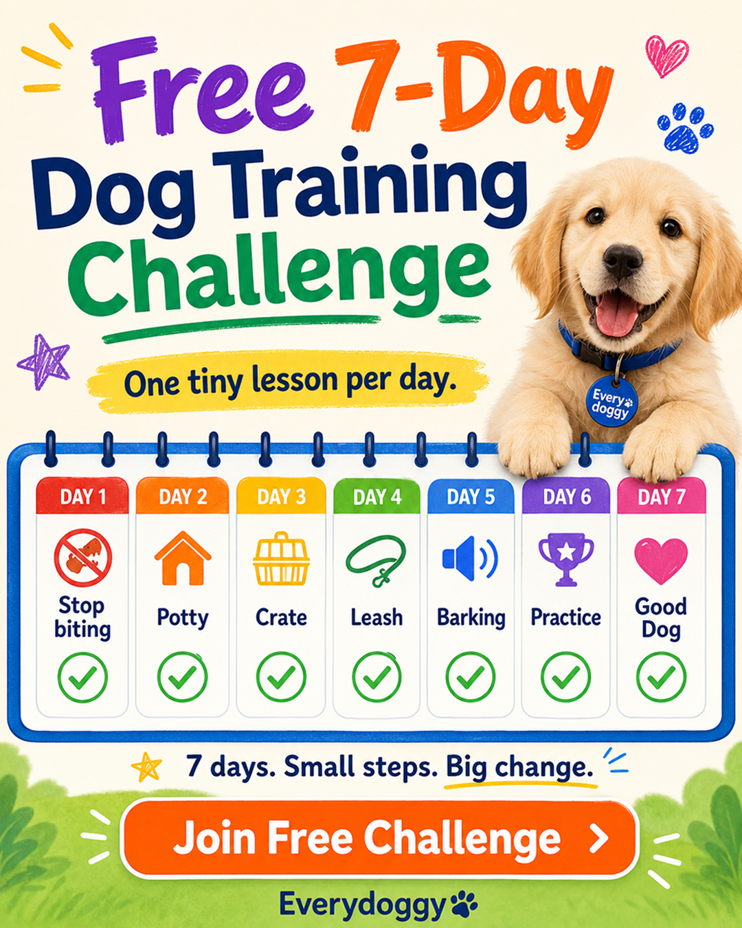 Ben Your Puppy Trainer Facebook ad