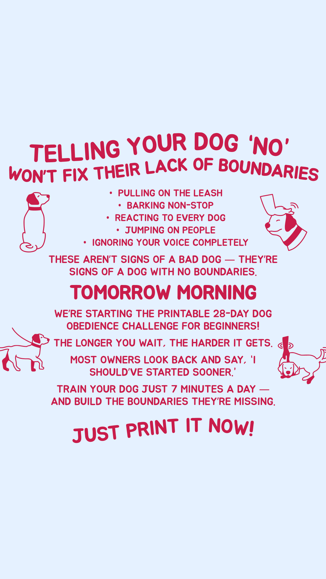 28 Day Dog Obedience Challenge Facebook ad