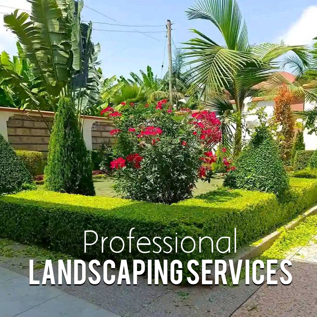 Blissful Outdoor Solutions Facebook ad: Ready to Transform your Outdoor Living Area?