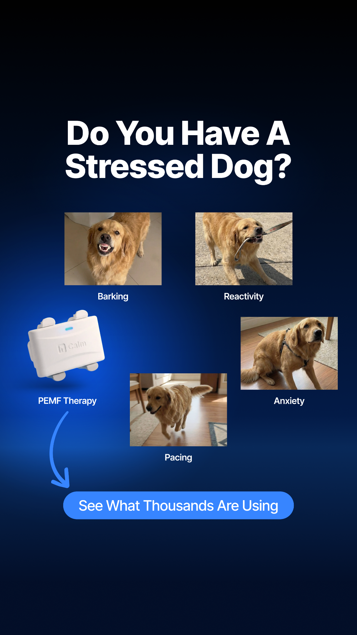 Helio Pet Facebook ad