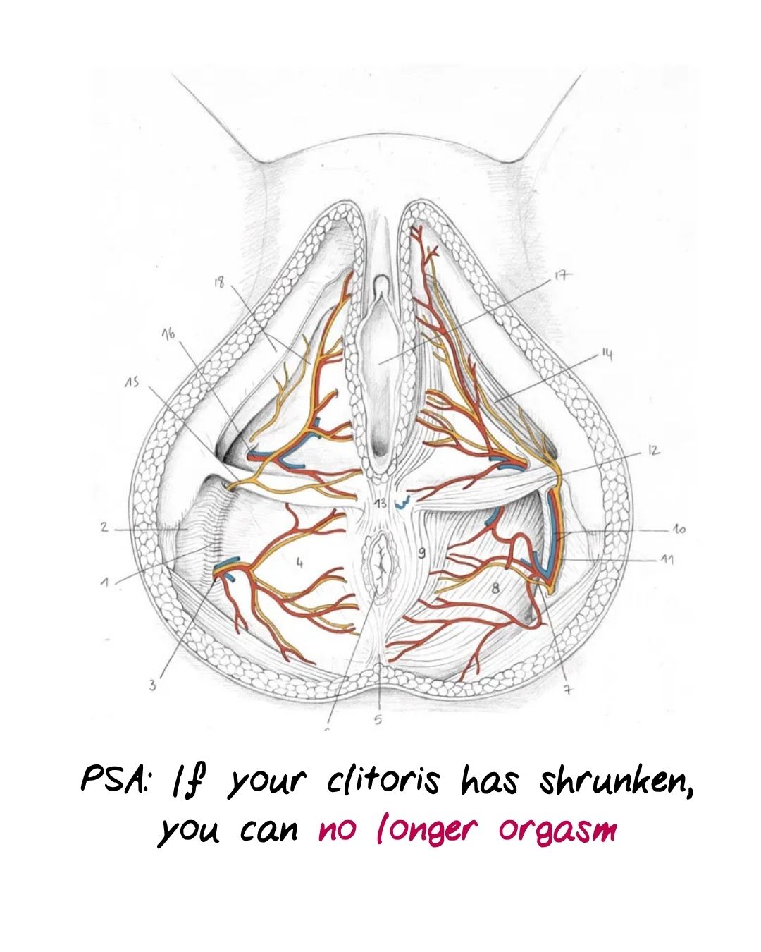 Radiancy Facebook ad