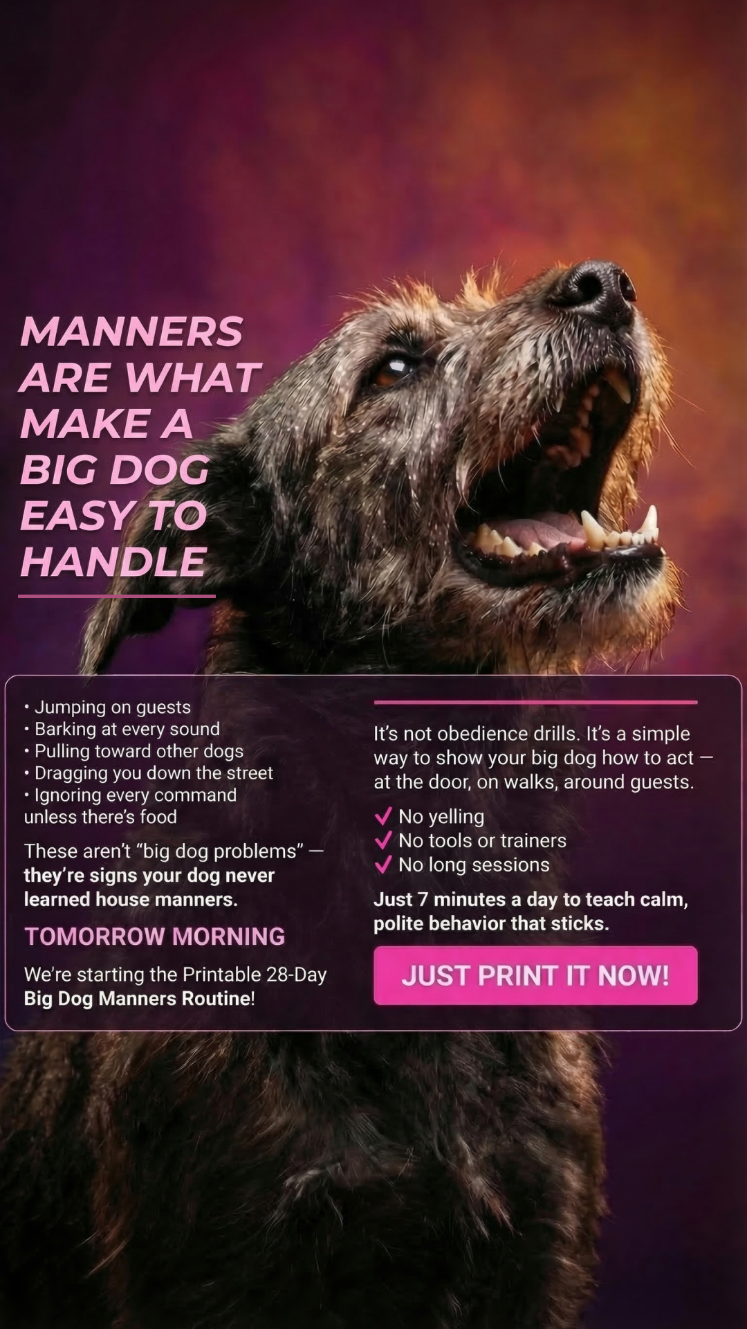 Cooper Vance Facebook ad: Start Dog Obedience Challenge