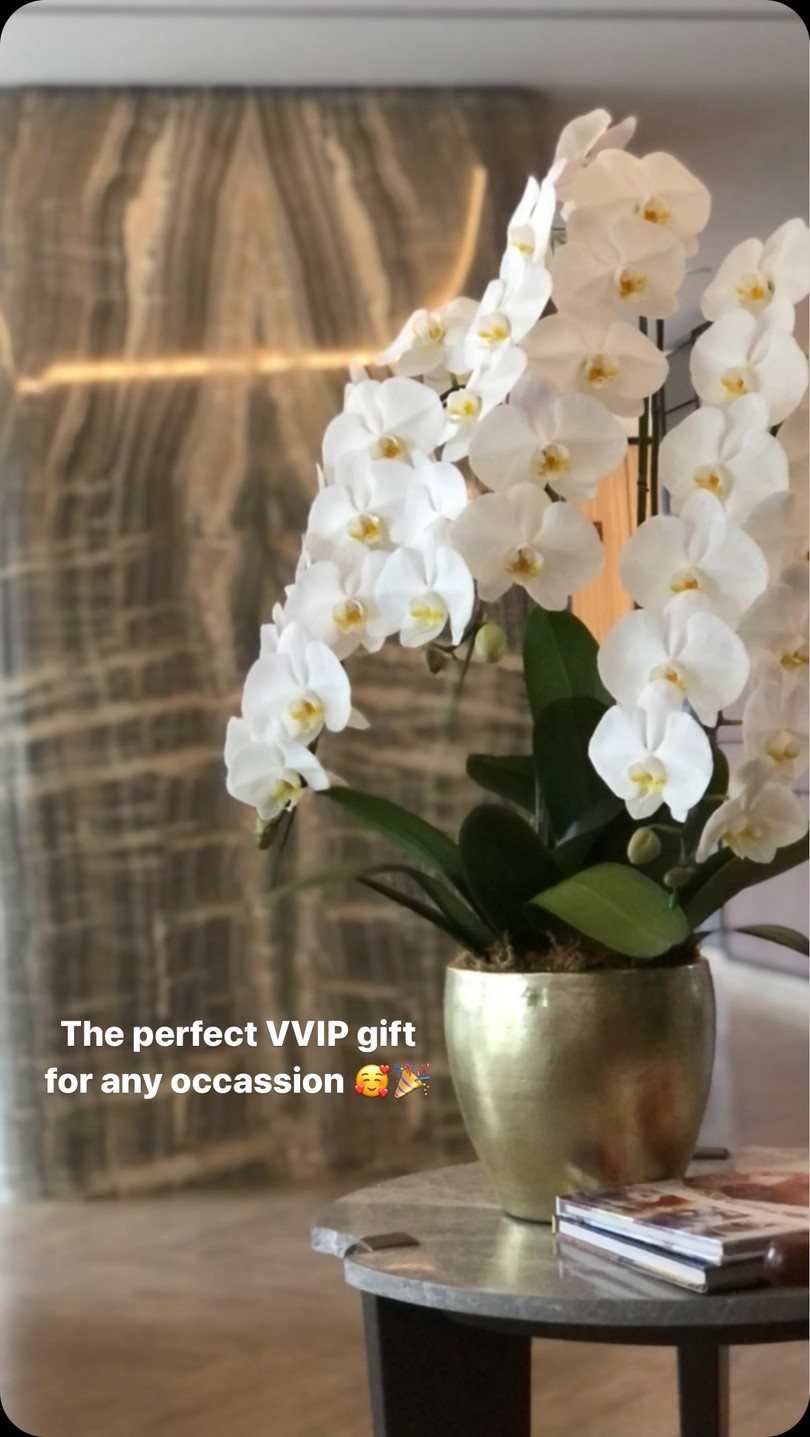 Premium Orchid - Priméra Facebook ad: Which one if your favorite?